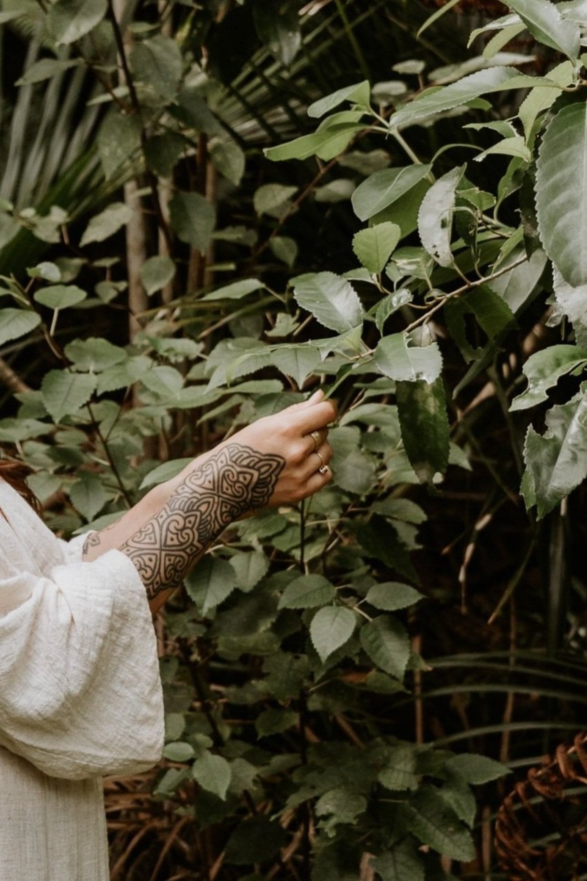Return to the Wild: Summer Foraging Workshop