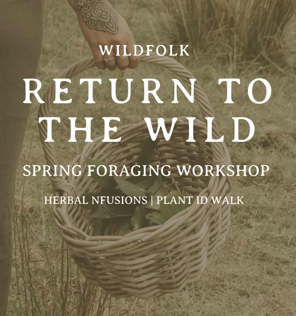 Return To The Wild: Spring Herbal Infusions & Plant ID Walk