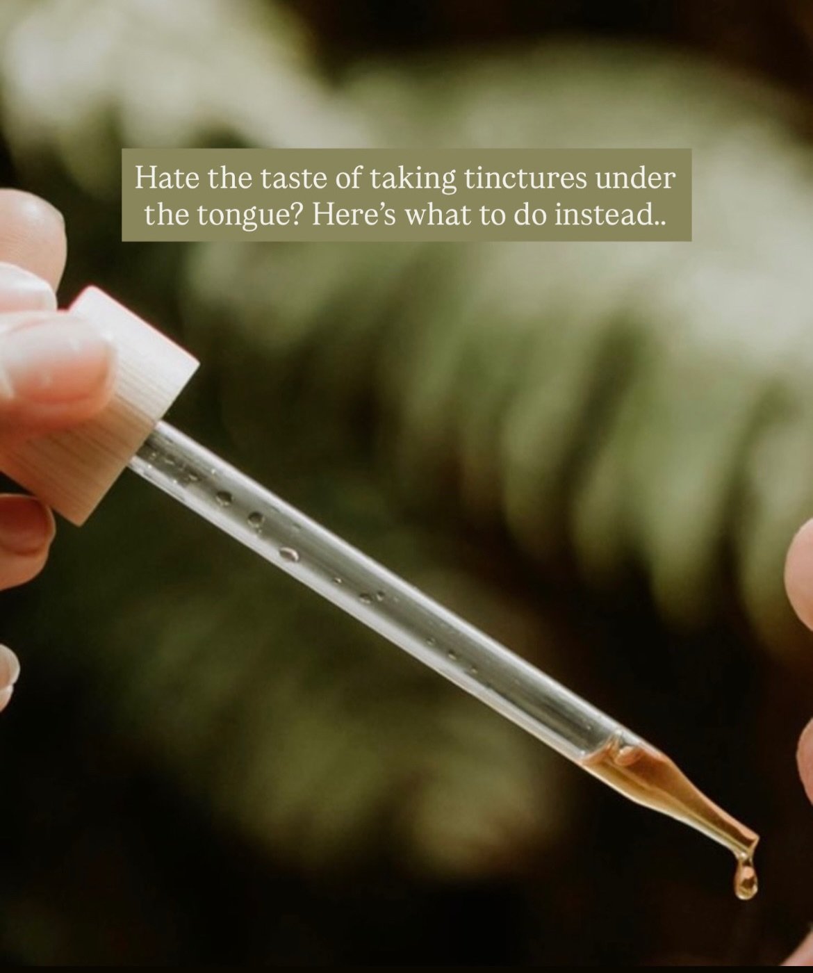 In traditional herbalism, tasting herbs is a big part of their medicinal action, so we&rsquo;ve formulated our herbal tinctures to taste as delicious as possible. But if taking them raw dog under the tongue just really doesn&rsquo;t work for you, you