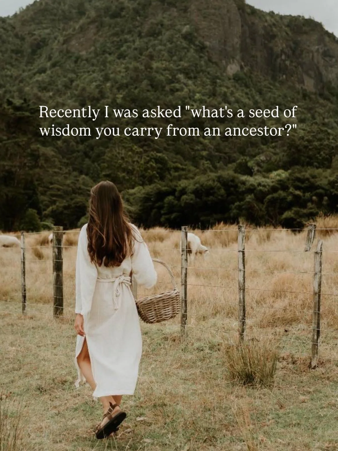 Sitting with plant medicine, sharing folklore and stories, connecting to the land, and making medicine in community, I believe is a path we can take now to create a deeper sense of belonging - to eachother, our roots, &amp; to the Earth. 

I am so ex