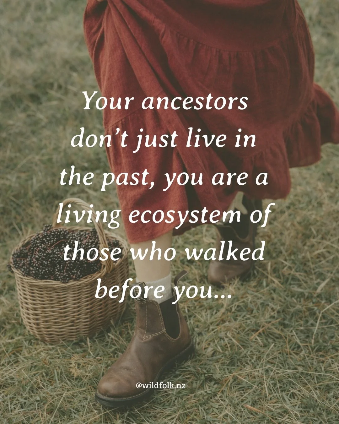 To reclaim relationship with the plants and the land is to re-engage in conversation with the living world, as our ancestors did. In this dialogue we can remember what it means to be in right relationship with Nature and repair our fragmented sense b