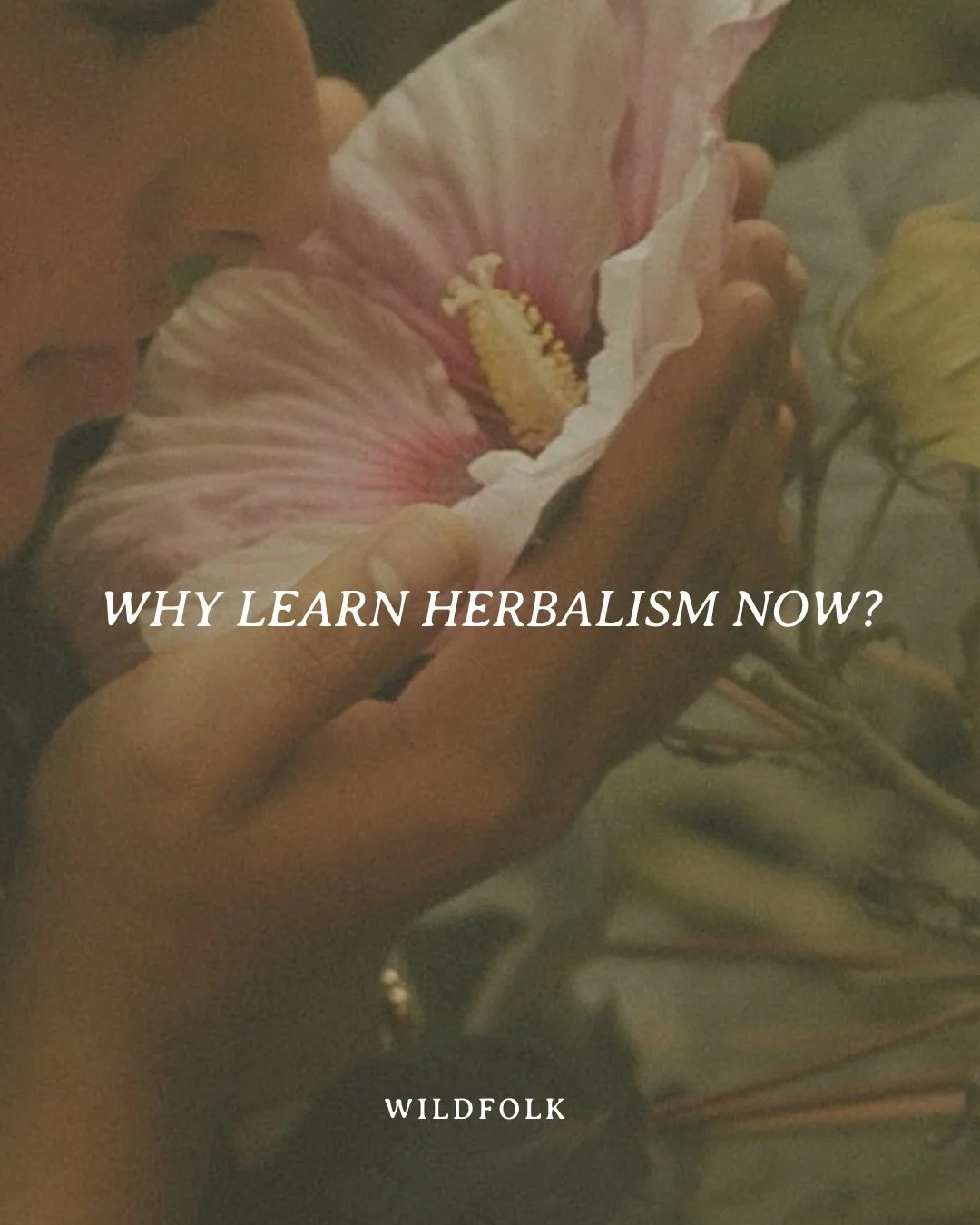 Herbalism is an ancient technology, the first language &amp; relationship with the Earth, the medicine of our ancestors beyond to the first hunters &amp; gatherers. So the Earth Medicine circle isn&rsquo;t anything new, it&rsquo;s just an intentional
