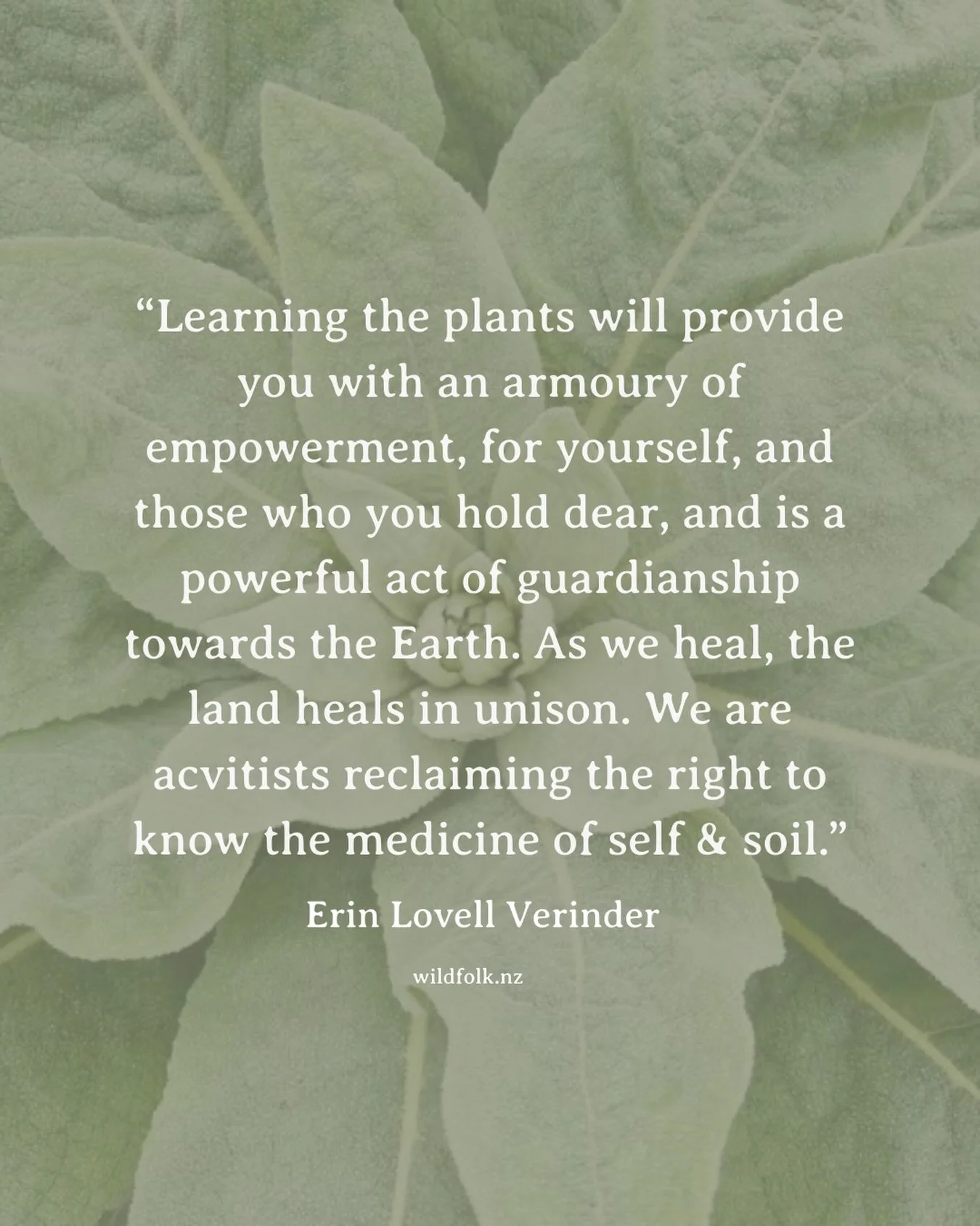 Yes! Learning the plants gives you valuable skills to support you &amp; your loved ones, but also creates a deep lifelong relationship with the land as it attunes your senses to listening, observing, and remembering. This guardianship is symbiotic, a