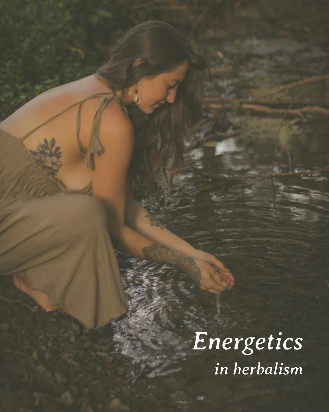 The more we build relationship to a plant the more we understand it&rsquo;s true medicine ~ beyond what it&rsquo;s &ldquo;good&rdquo; for. 

That&rsquo;s why in the online Earth Medicine Circle, we&rsquo;re taking the intentional time to really sit w