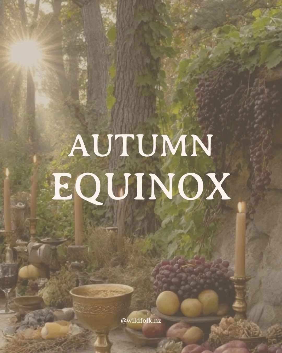 Blessed Autumn Equinox to the Southern Hemisphere! 🎃🍎🍂 I love this time of year, the waning days that invite us to slow down and reflect. This quote from the Witches Herbal Apothecary says it all 🍁🤎