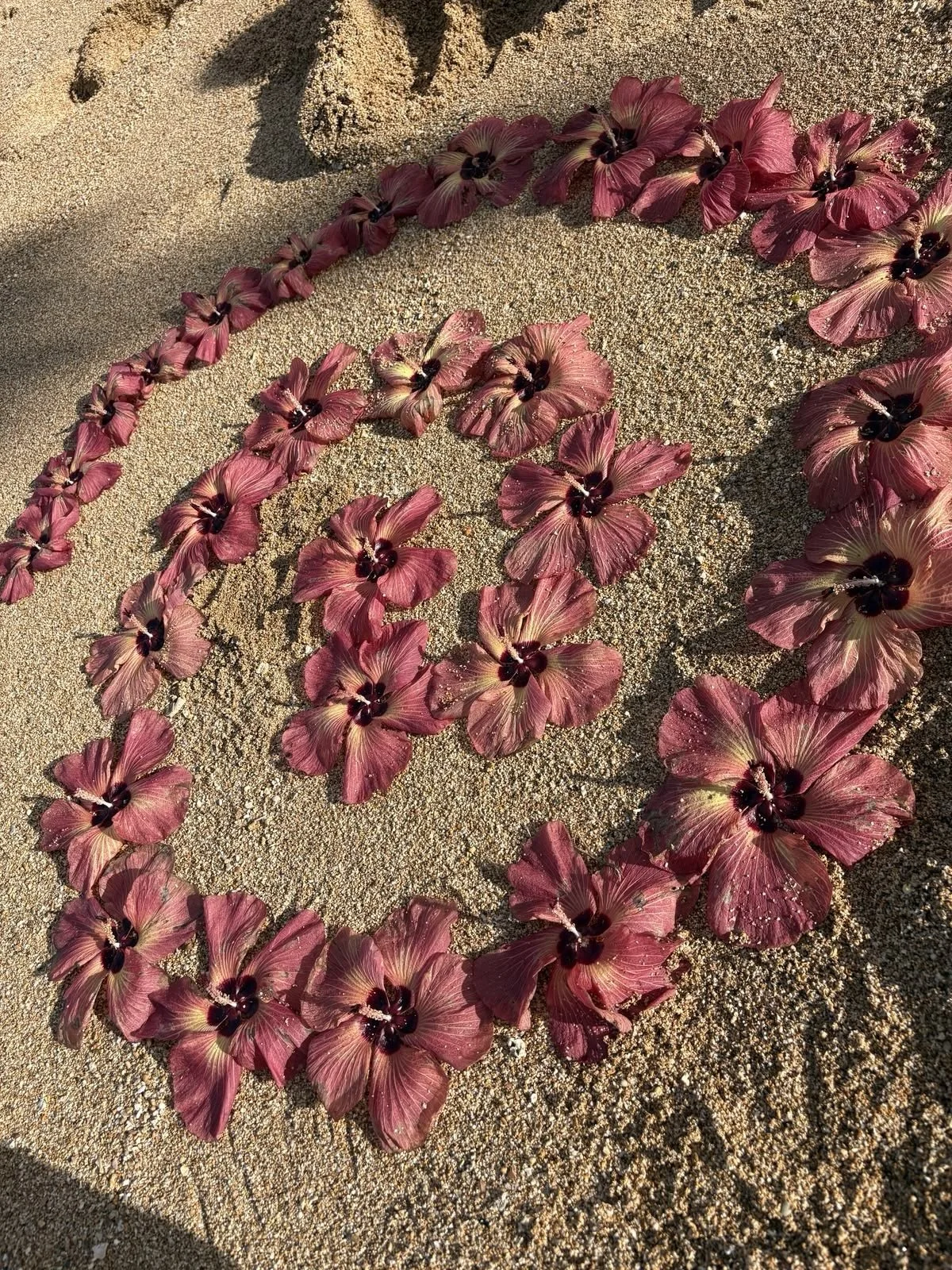 May power return to the caretakers of the Earth 🌀