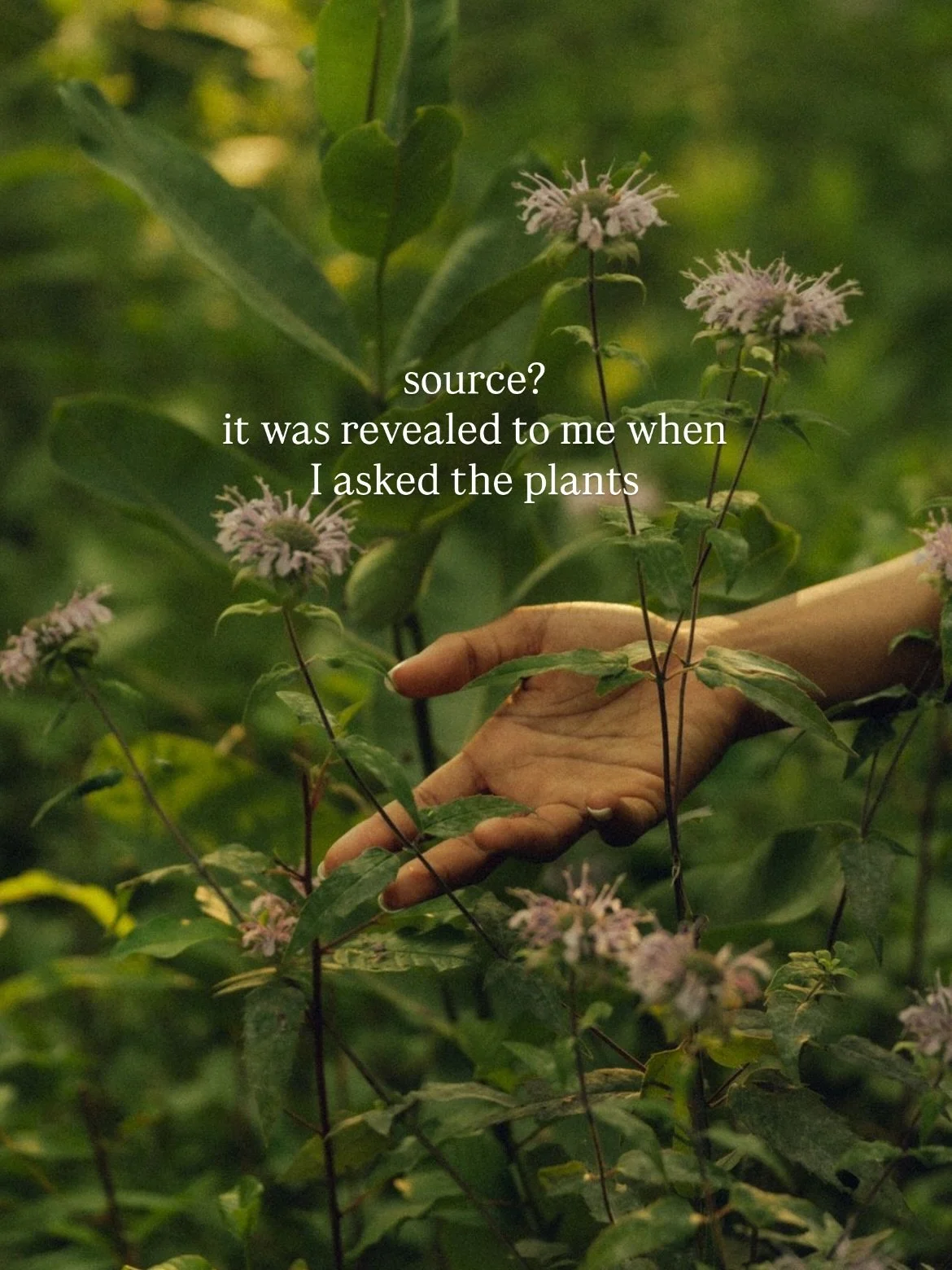 Giving reverence to the unseen forces of wisdom ~ let&rsquo;s talk about working with the unseen in the practice of herbalism 🌿 

True understanding of plant medicine isn&rsquo;t just about chemistry &amp; knowing what a plant &ldquo;does&rdquo;, it