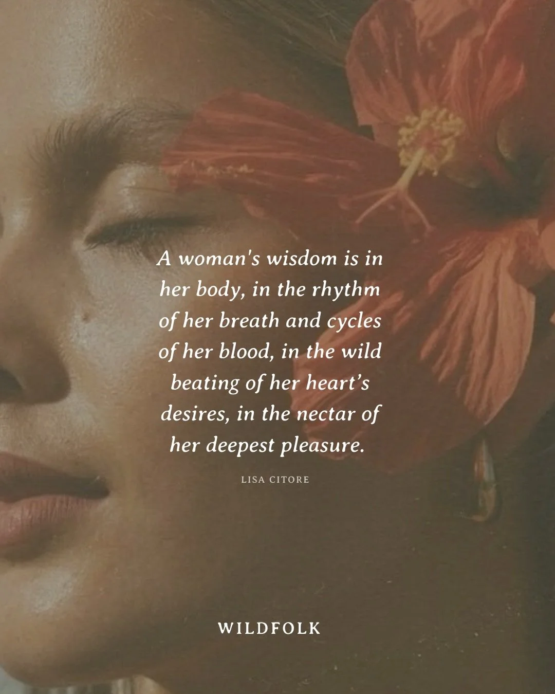 Naturopathy books are back open for online consultations Mon-Fri afternoons 💌 natural medicine for every season of womanhood 🌱 booking link in bio.