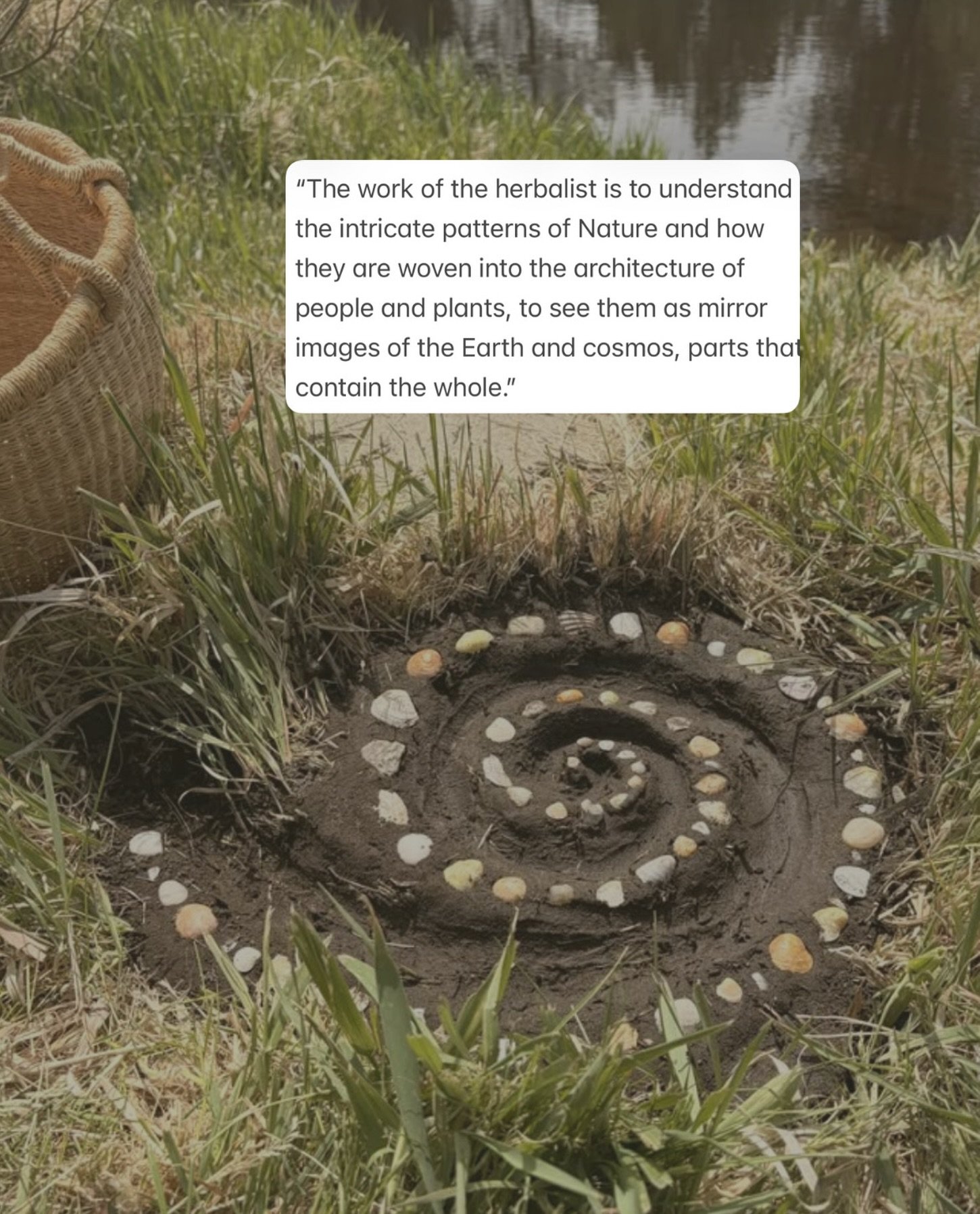 The practice of herbalism is the practice of observing patterns between humans and nature, plants and humans, and the seasonal cycles that live within &amp; around us 🌿 

Quote by Sajah Popham of @evolutionary_herbalism ✨