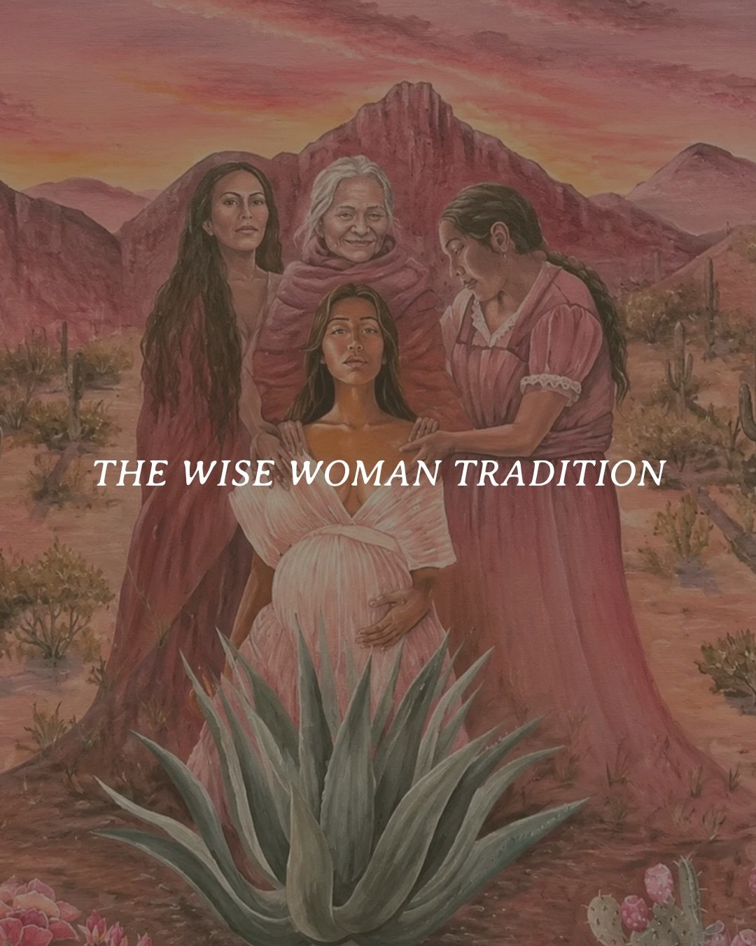 This knowledge continues to exist despite centuries of erasure, because it originates from the innate feminine wisdom that lives in all women 🌀 The wise woman tradition is our guiding philosophy in the Earth Medicine Circle (and all of @wildfolk.nz 