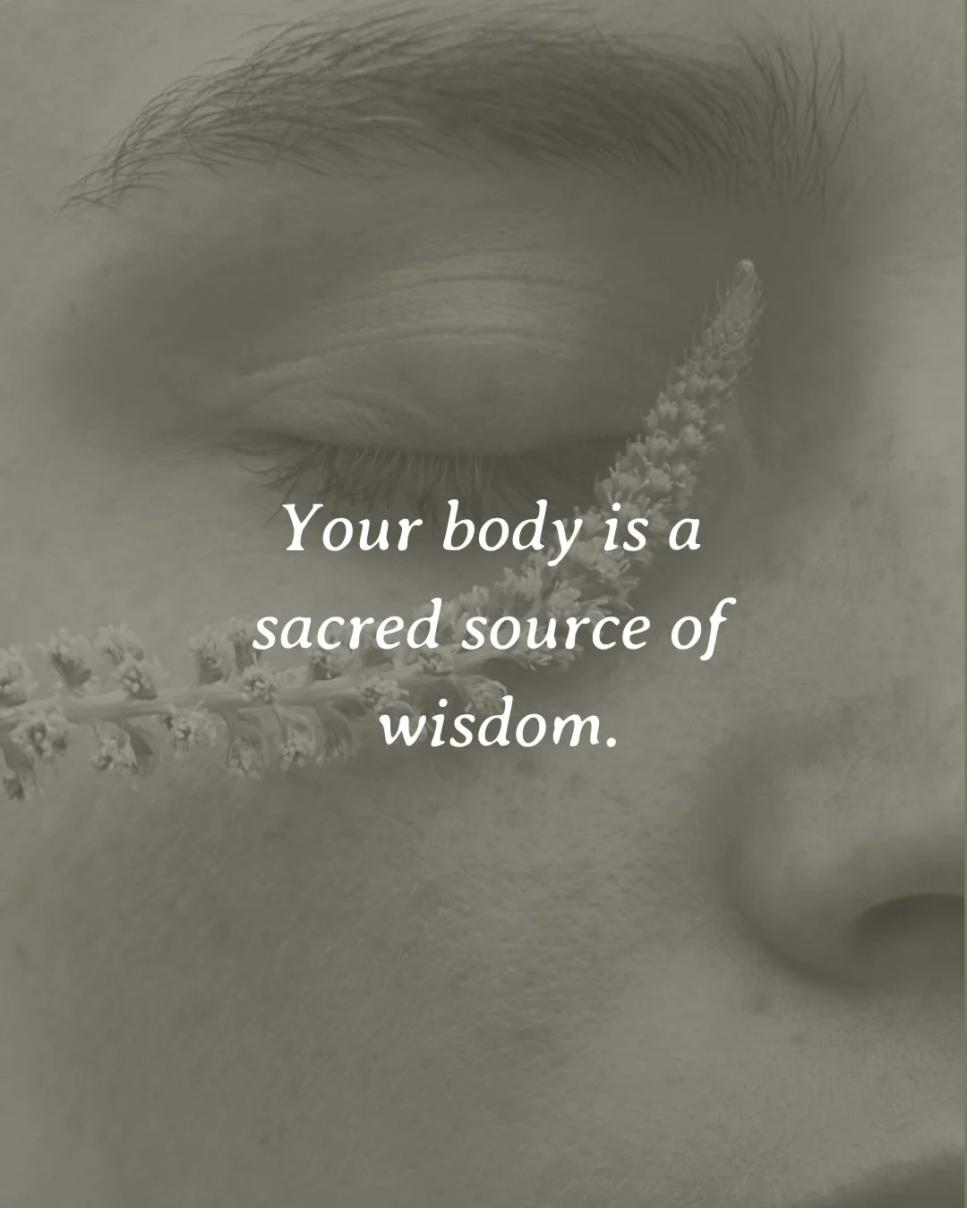 Tune into the medicine wheel within 🌀 the energetic architecture of nature. The elements are the foundational blueprint of nature ~ everything seen or unseen, has its origins within a unique composition of elements.

To understand plants, ourselves,