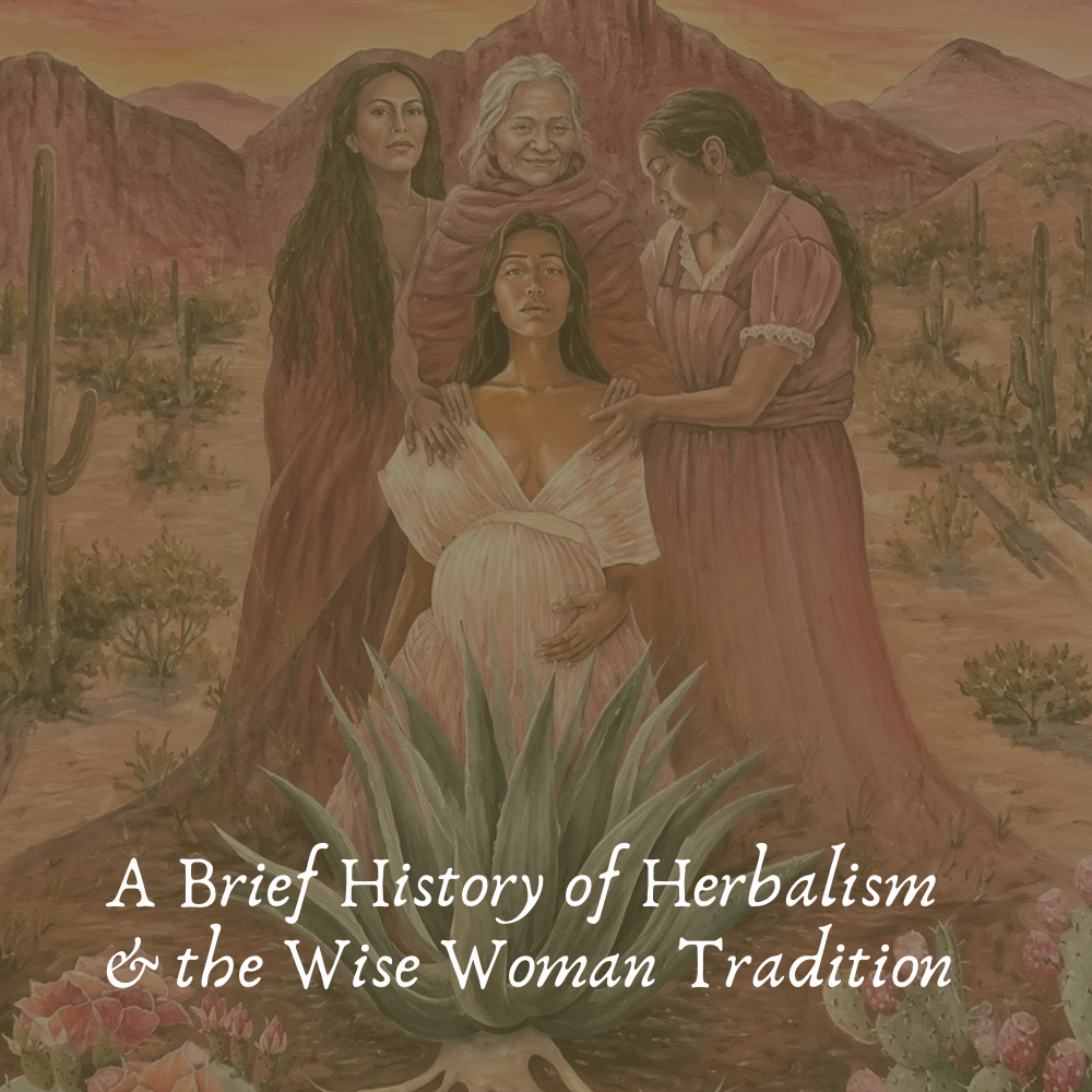 The Wise Woman Tradition