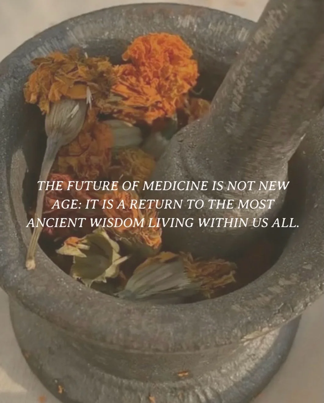 And a woman who knows how to identify plants, and make herbal medicines has a kind of wealth that money can&rsquo;t buy. 

My Herbal Foundations self paced course launching in November has been designed to empower you with this exact knowing, and awa