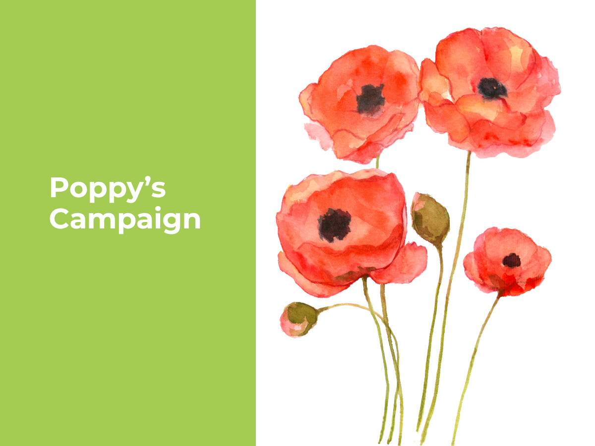 Poppy’s Campaign