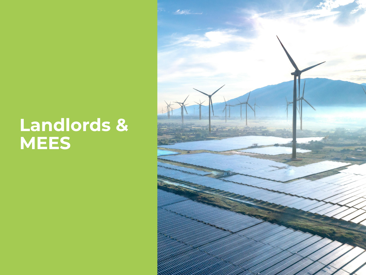 Does MEES Compliance make sense for commercial landlords?