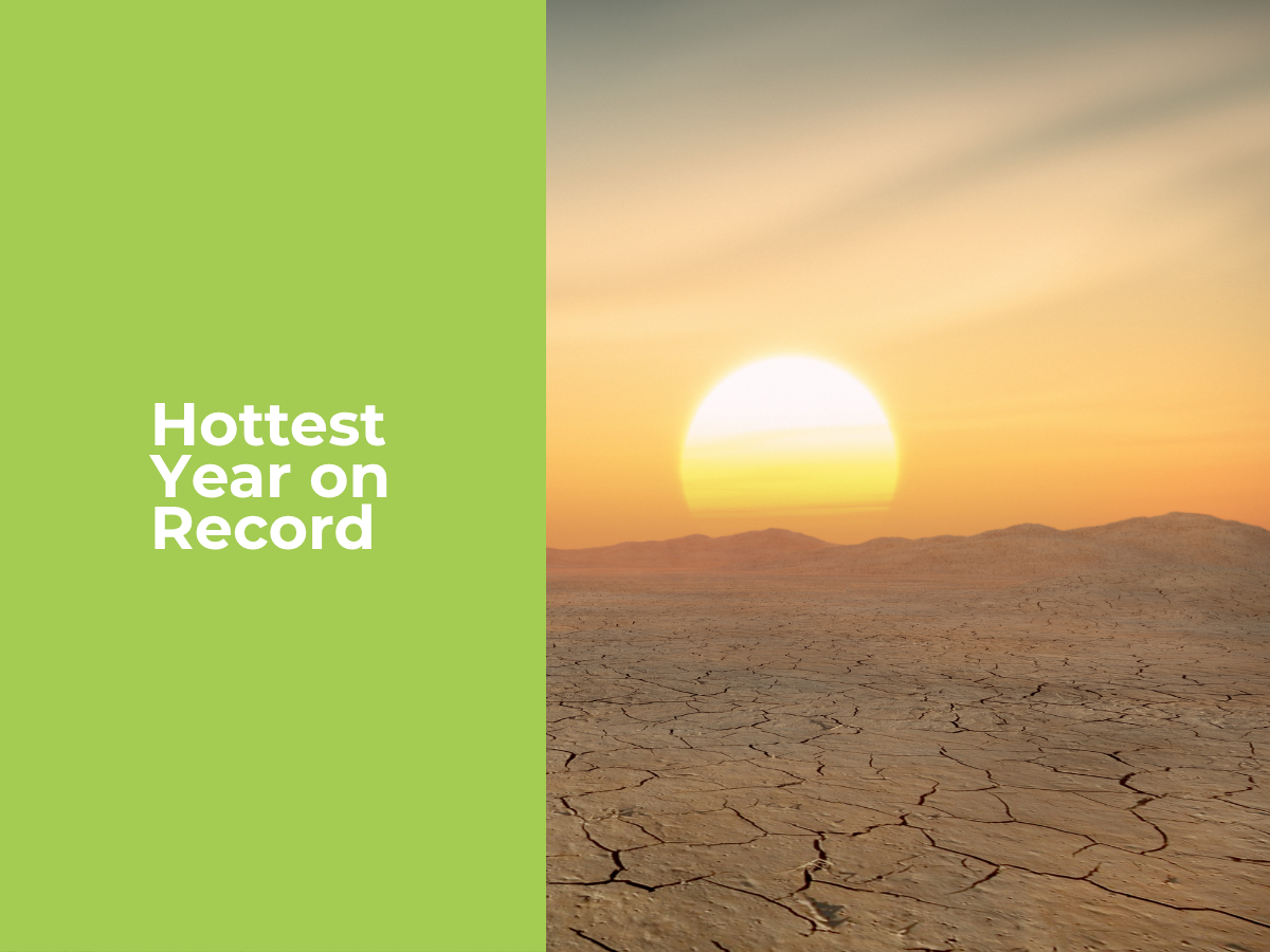 1.5 degrees – the hottest year on record