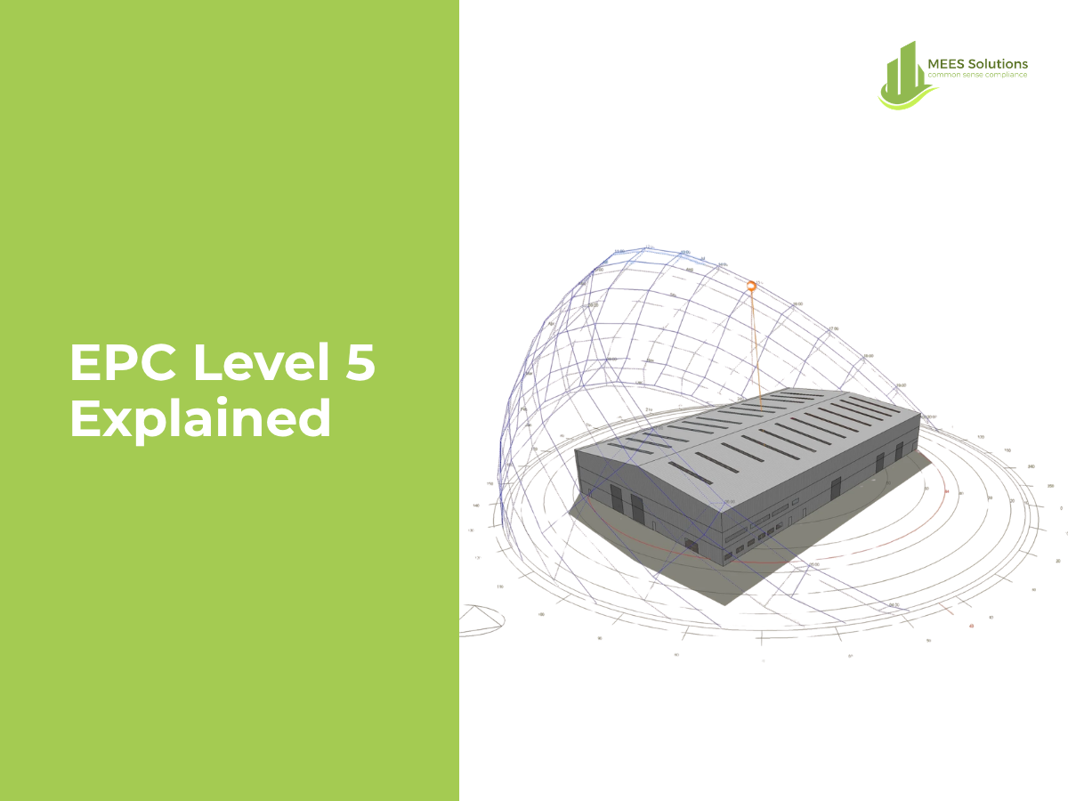 Hi-def EPCs: what exactly is EPC Level 5 / DSM?