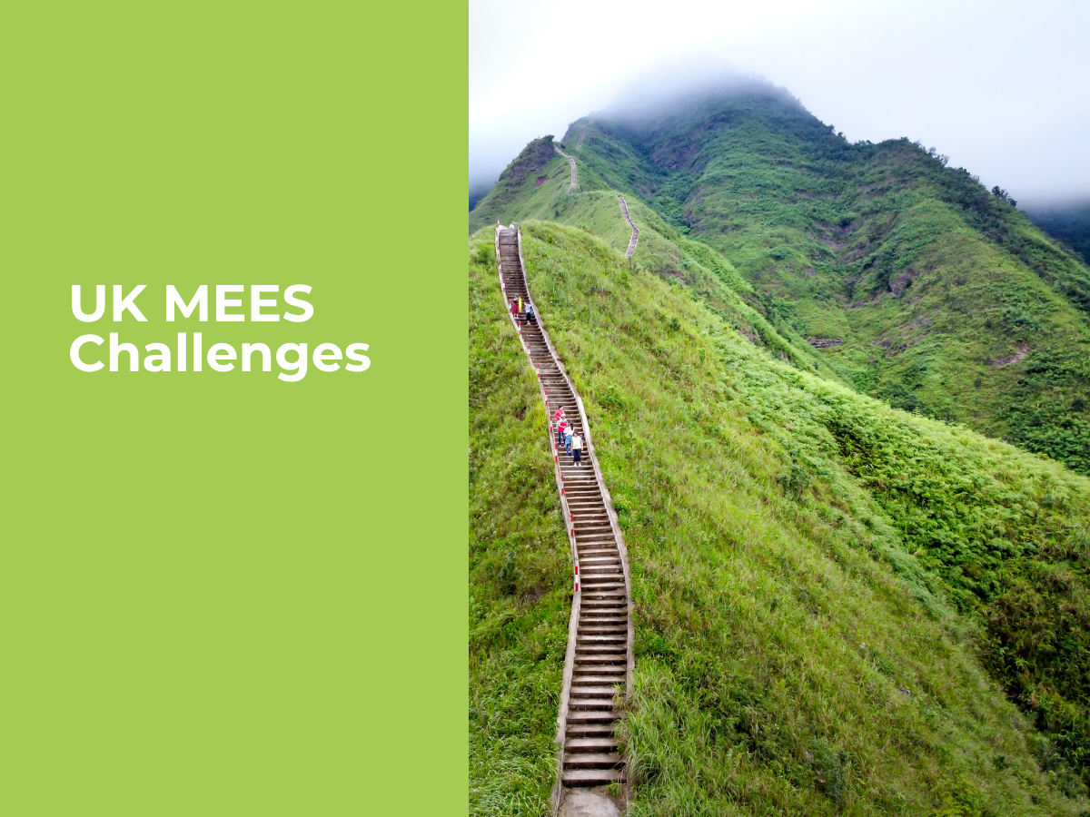 Navigating the Challenges: Sectors Struggle with MEES Compliance in the UK