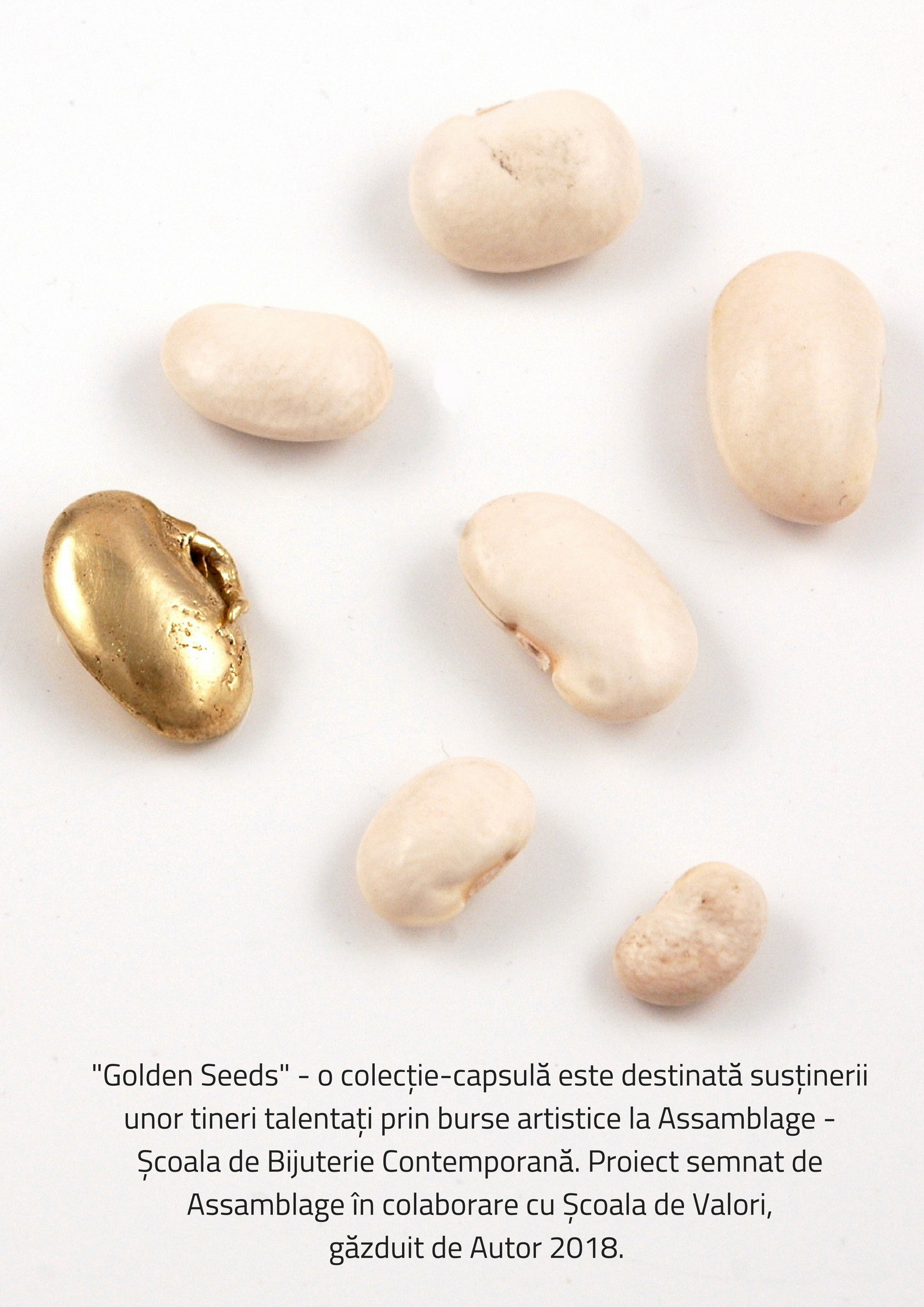 Golden Seeds - Proiect de sustinere a talentelor emergente - Assamblage x Scoala de Valori