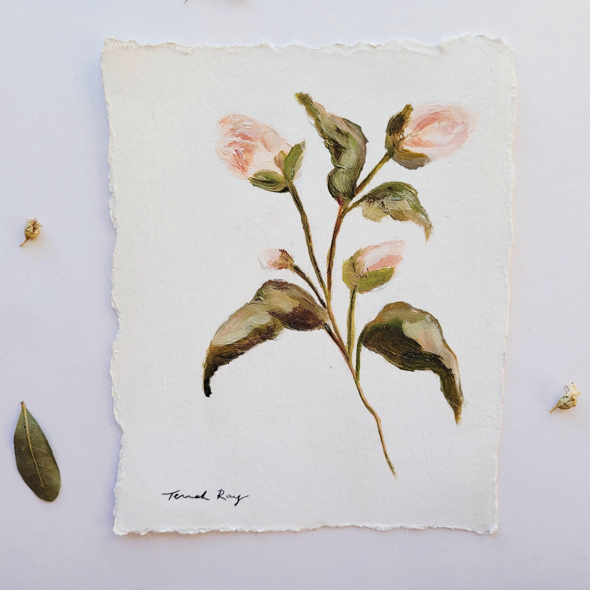 botanical-oil-painting.jpeg