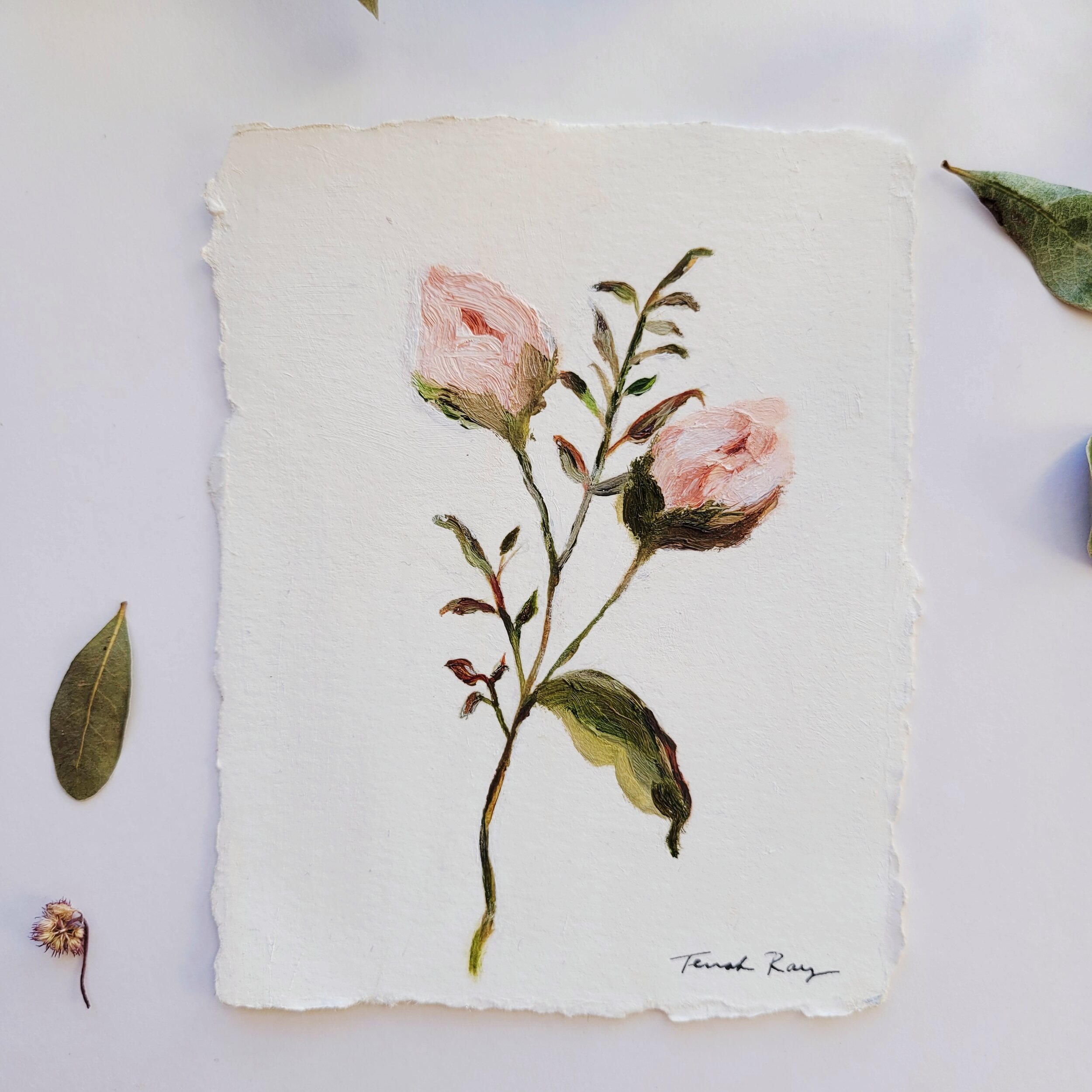 small-botanical-art.jpeg