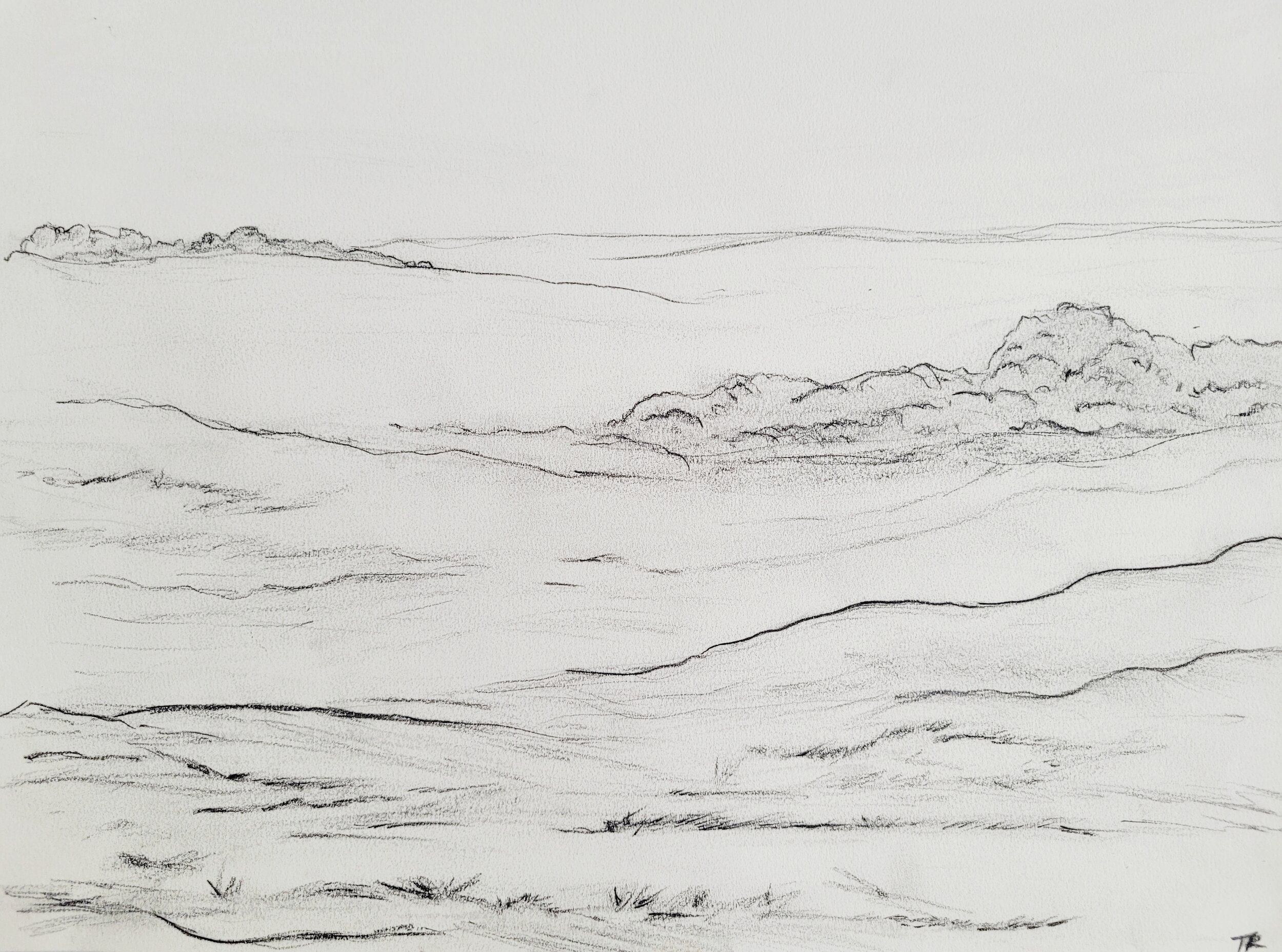 minimal-landscape-sketch-artwork-terrah-ray.jpeg