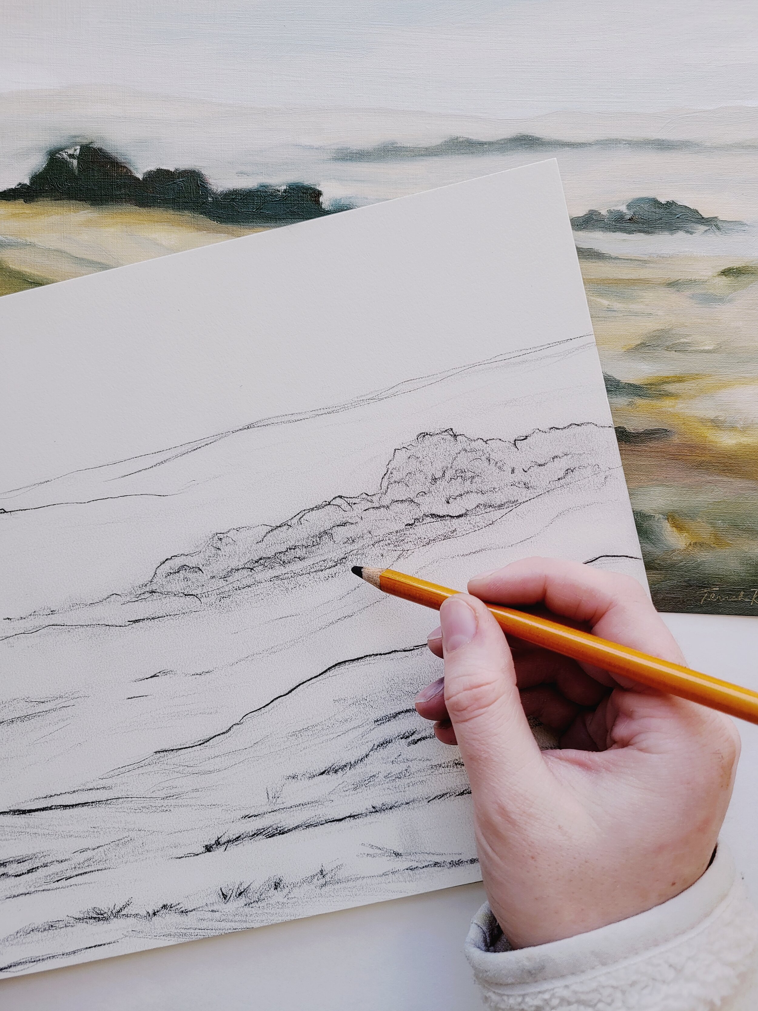 charcoal-landscape-sketches-terrah-ray.jpeg