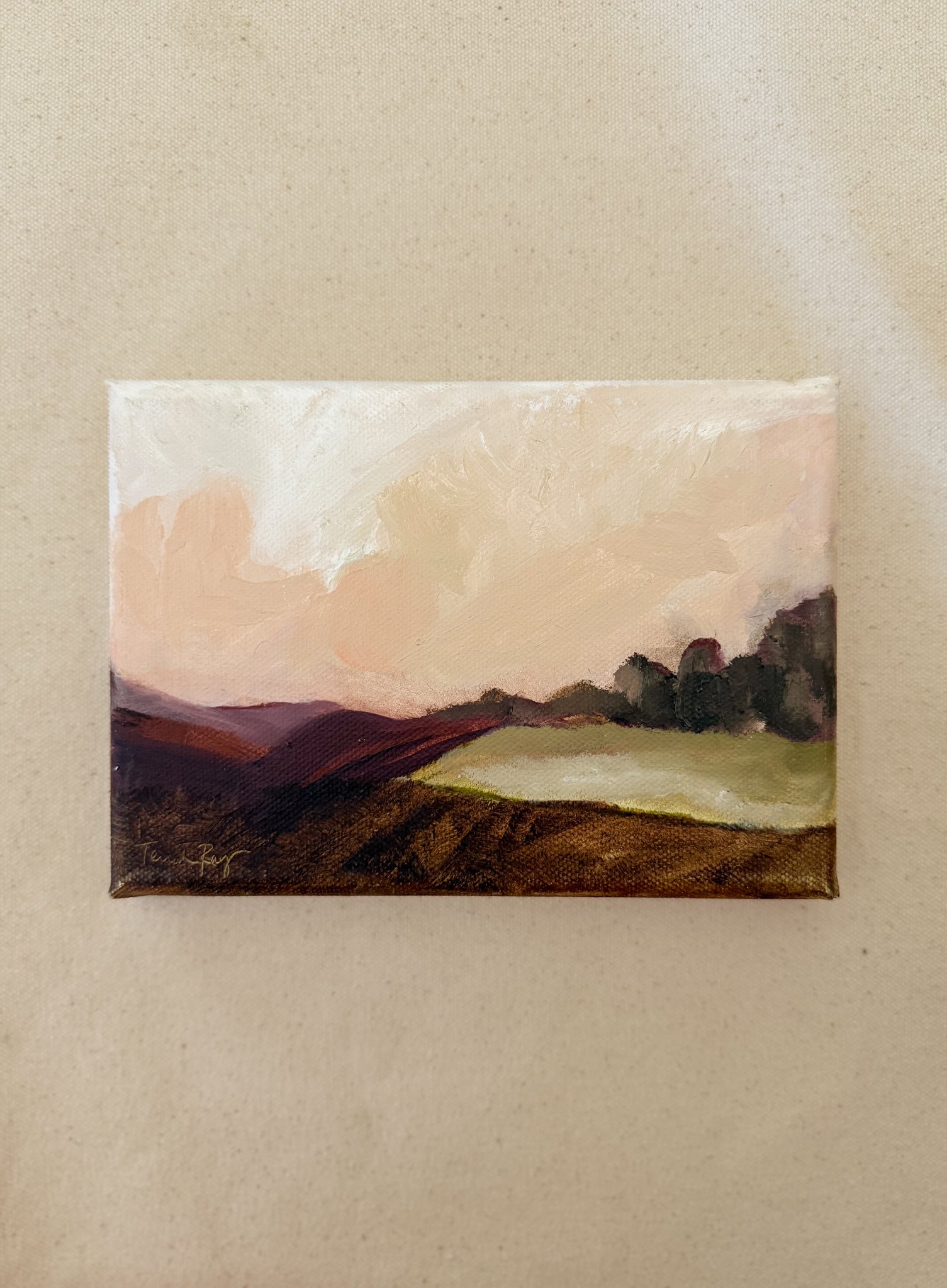 Original oil paintings for the Home - Terrah Ray Art.jpg