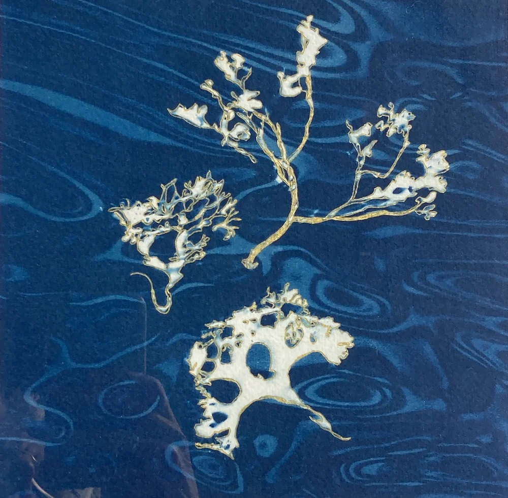 【一点モノ】湘南のビーチグラス、字入り紋入りレアモノ‼️ 極美品 ルイヴィトン モノグラム がま口 ポーチ USA バケット