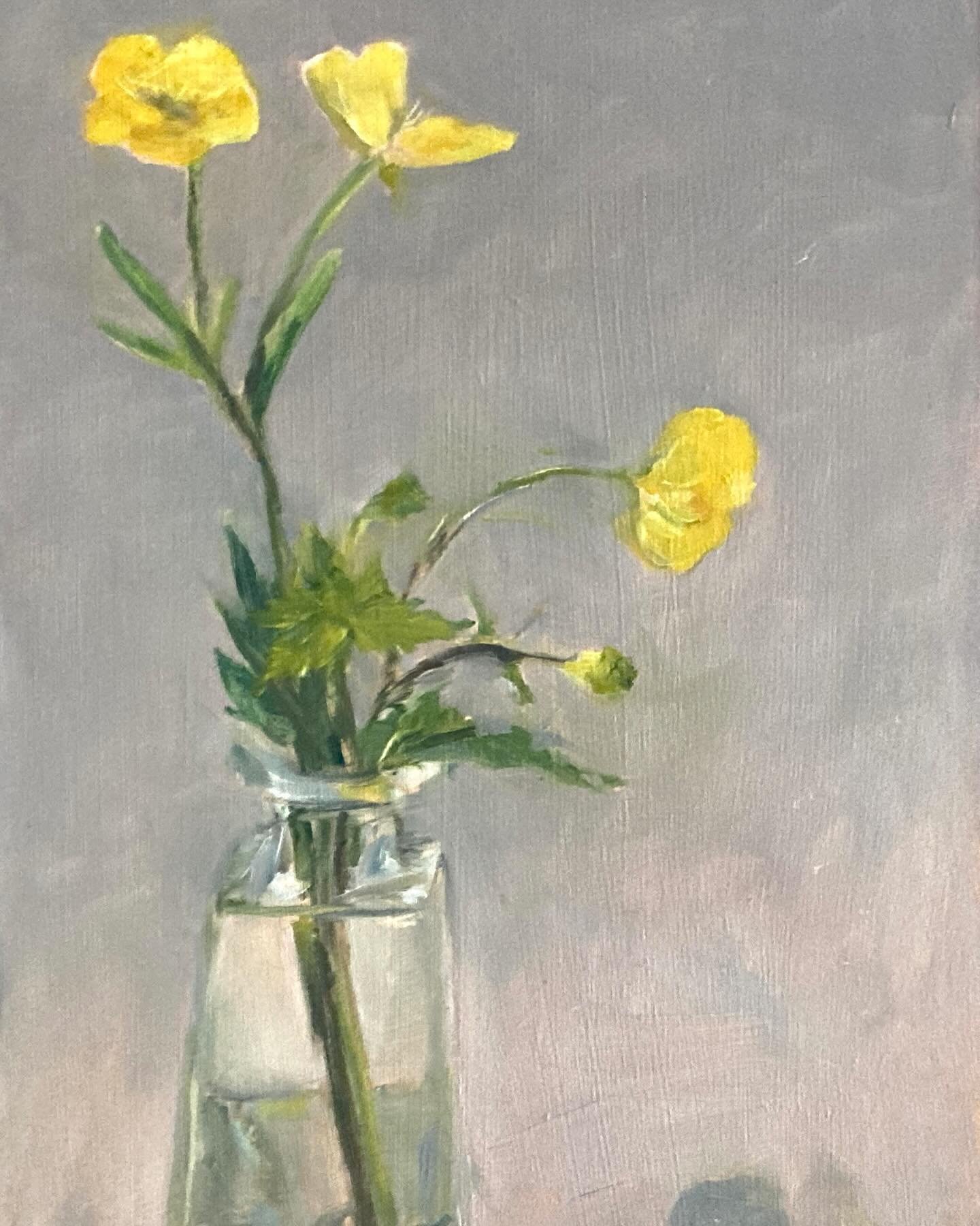 Wet day today so painted sunny buttercups with @jennyaitkenart 

First attempt at painting glass in oils so that was fun. It was the shape of the bottle that was the most tricky!

#stilllife #stilllifepainting #guernseyartist #guernseylife
#guernseya