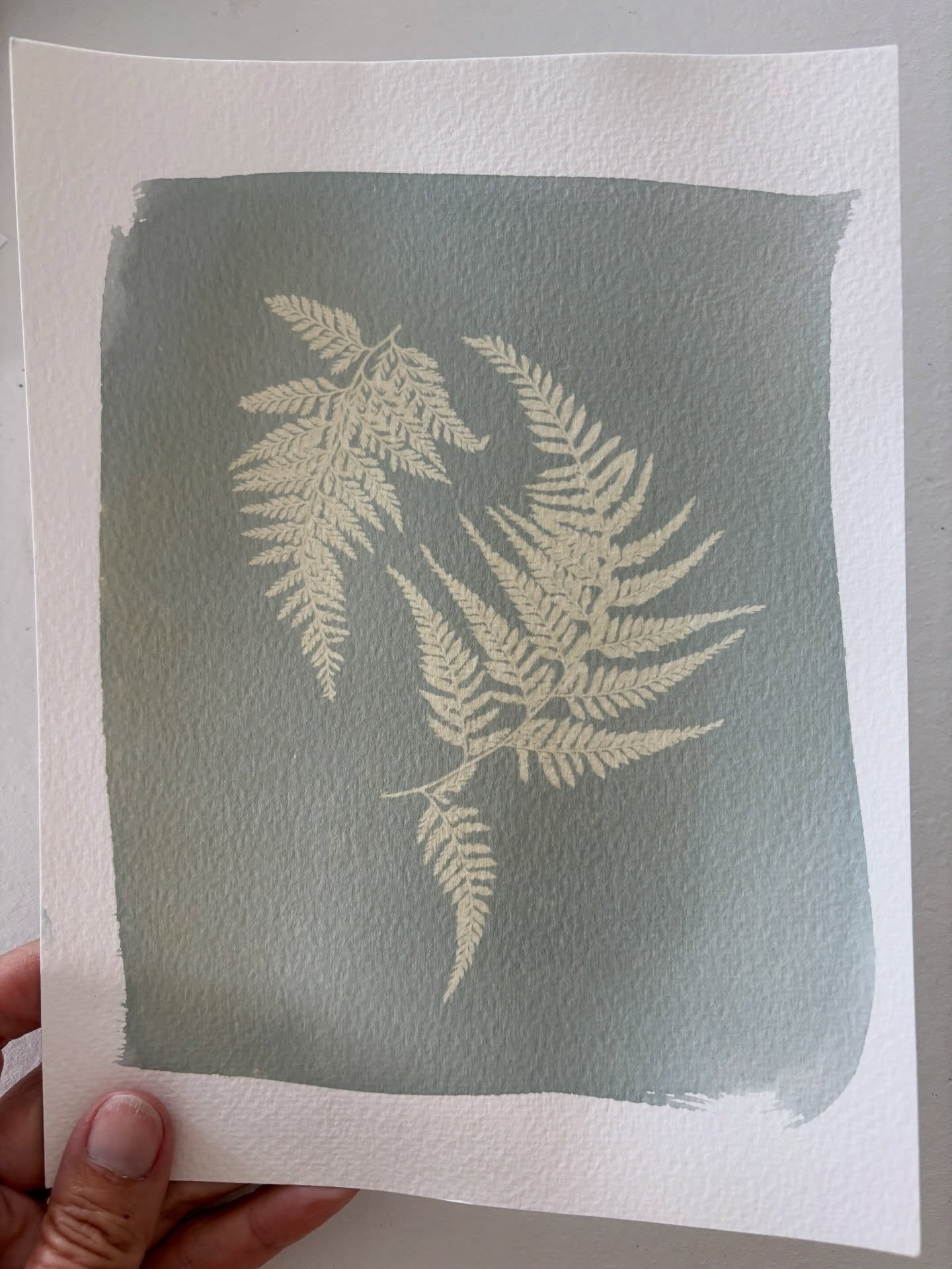 First cyanotype of the year!☀️
Yesterday was sunny so I couldn&rsquo;t resist a little play- with ferns, the classic!
Been experimenting and was pleased to get a softer blue&hellip; watch this space!

I also started a studio spring clean. And unpacke