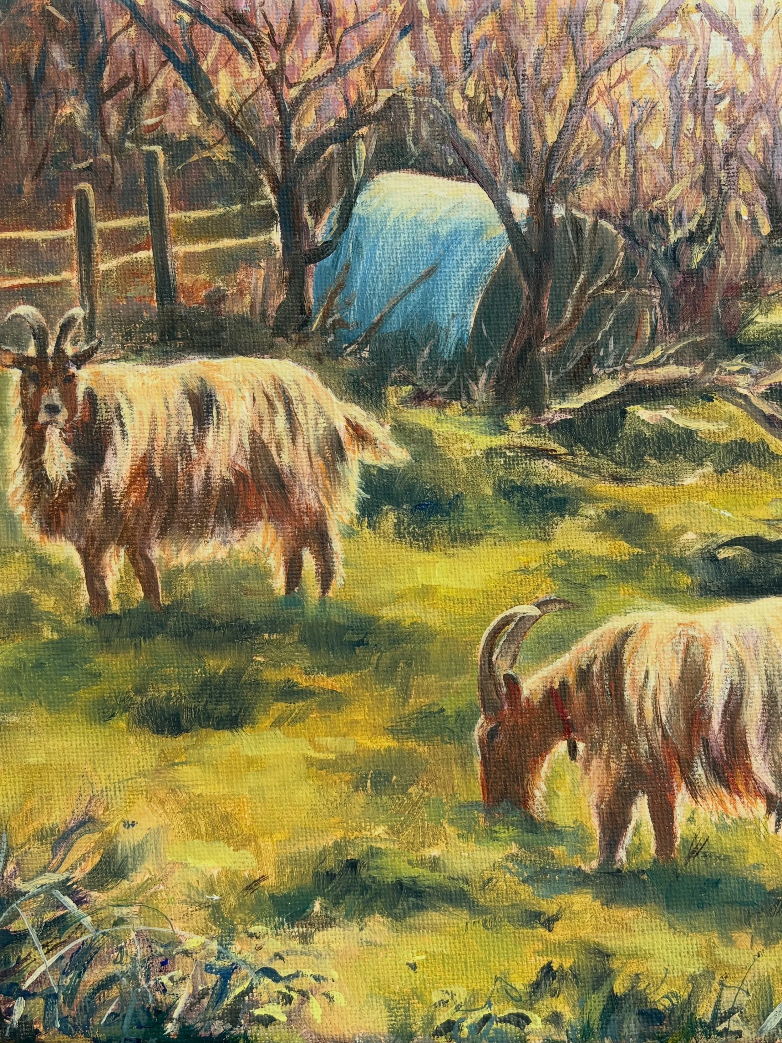 The Royal Golden Guernsey Goats are having their own exhibition! 

@artforguernsey have put together a wonderful display by local and international artists all celebrating our beautiful local goat. The Golden Guernsey goats received a Royal Charter i
