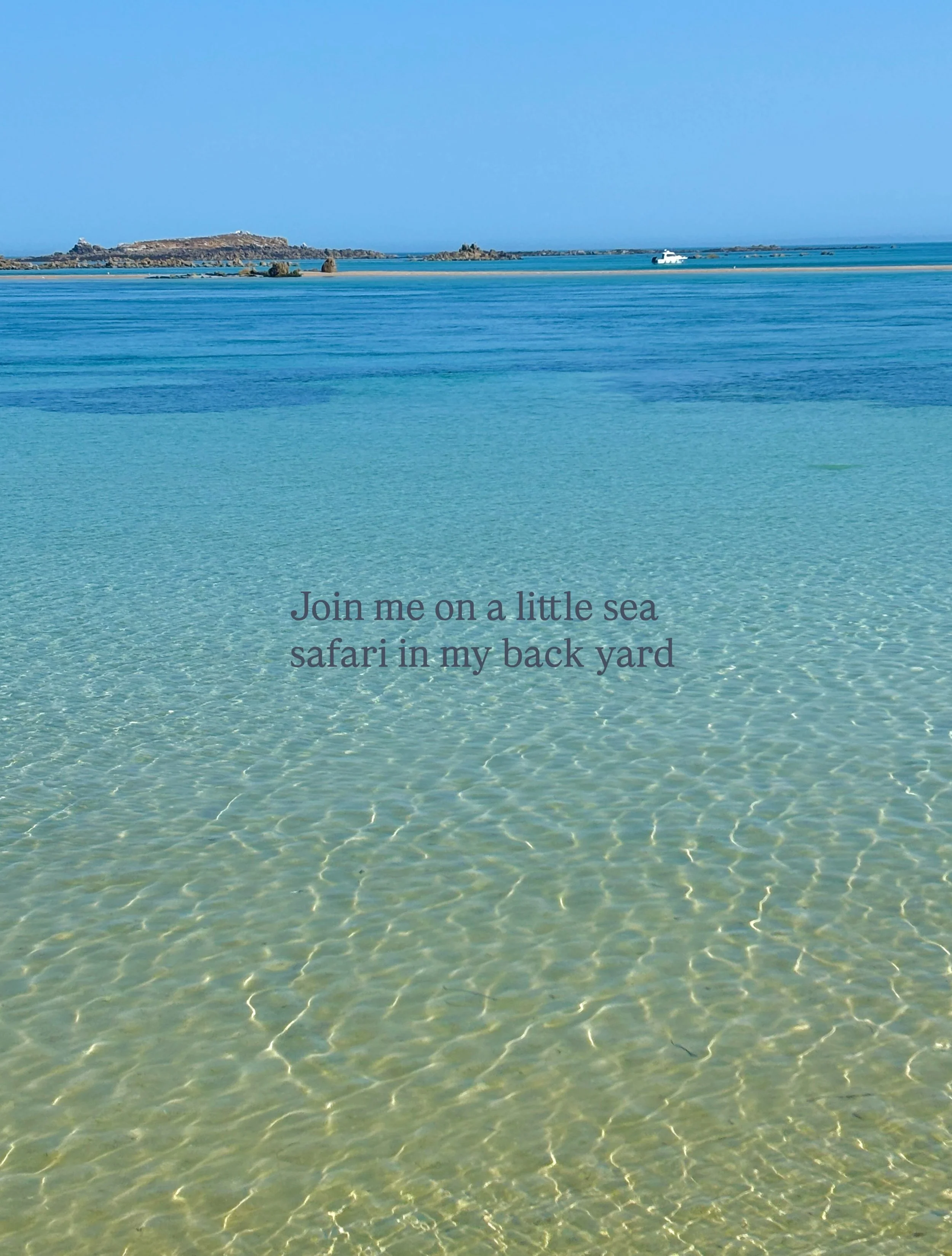 Sometimes you don&rsquo;t need to travel far to find extraordinary beauty. This was last week, exploring &lsquo;the Humps&rsquo; north of Herm by dinghy. 
Thank you. My inspiration cup is full. That should get me through the winter 

#seagrass #guern
