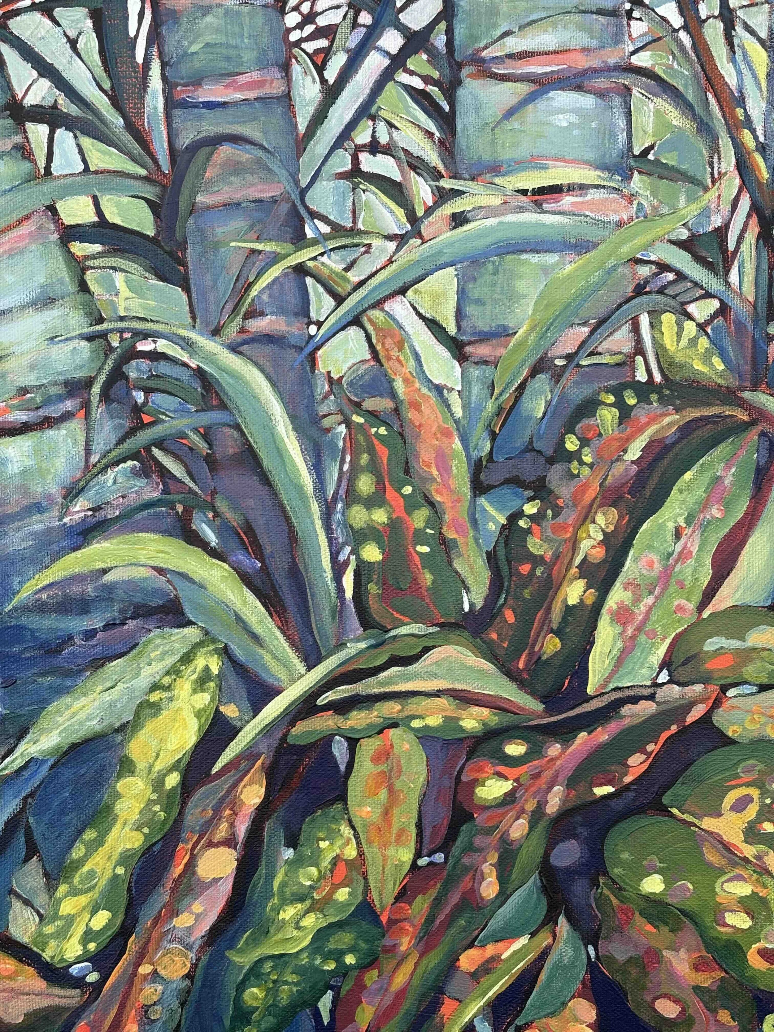 Crotons in my Garden