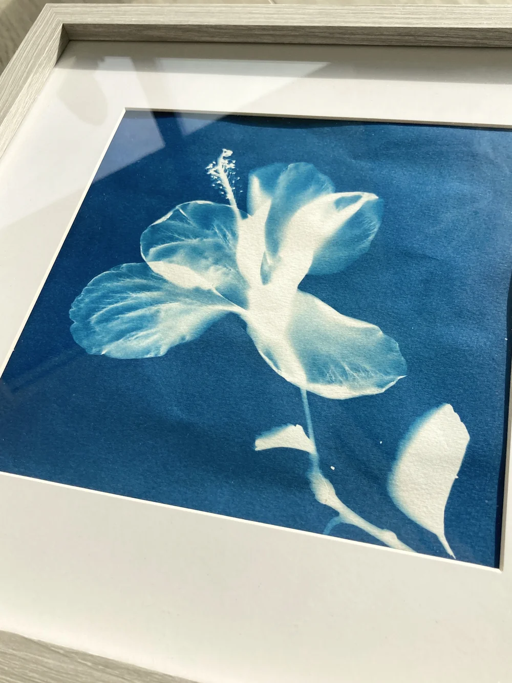Original cyanotype by Gill Harrison, framed in a white wood frame