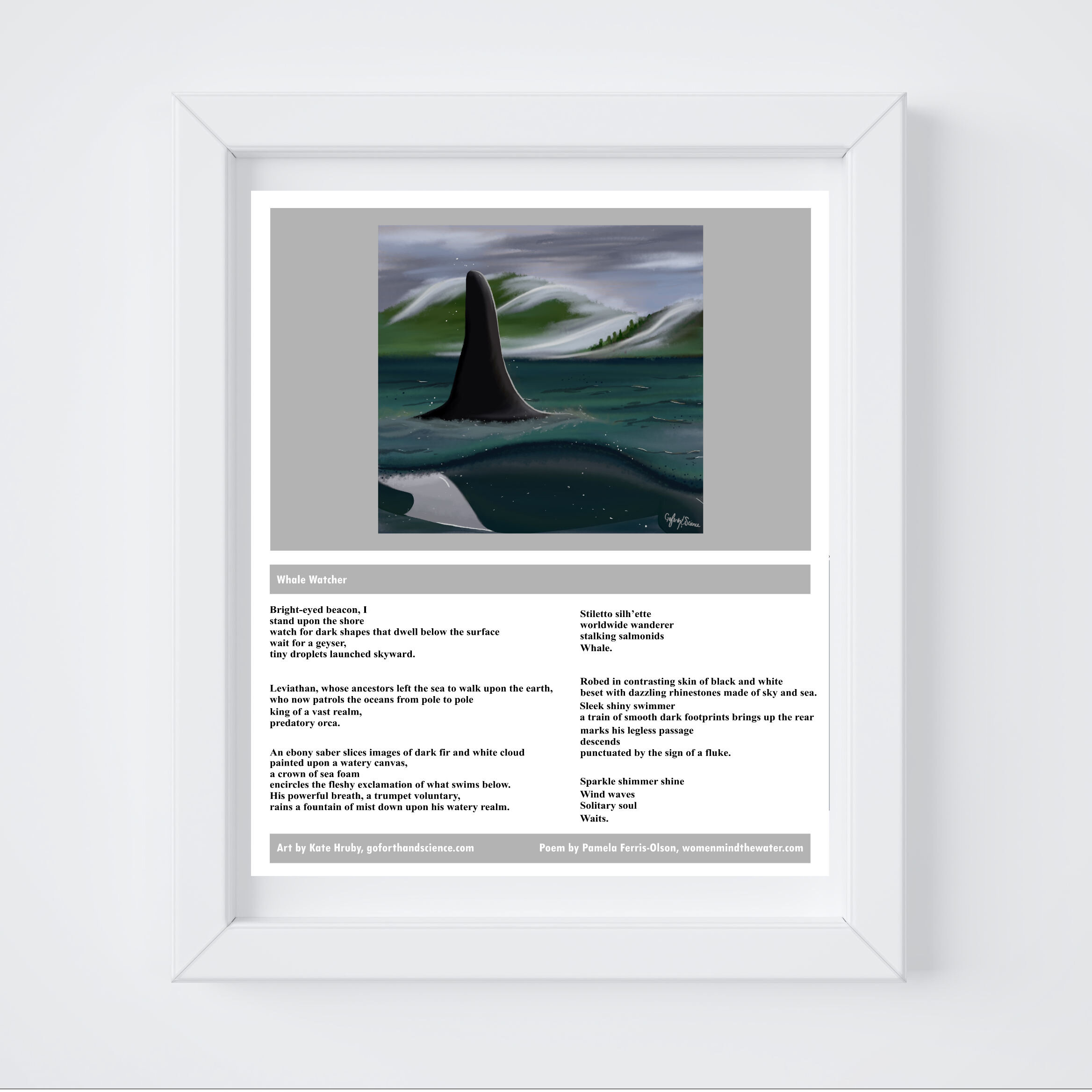 frame orca.jpg