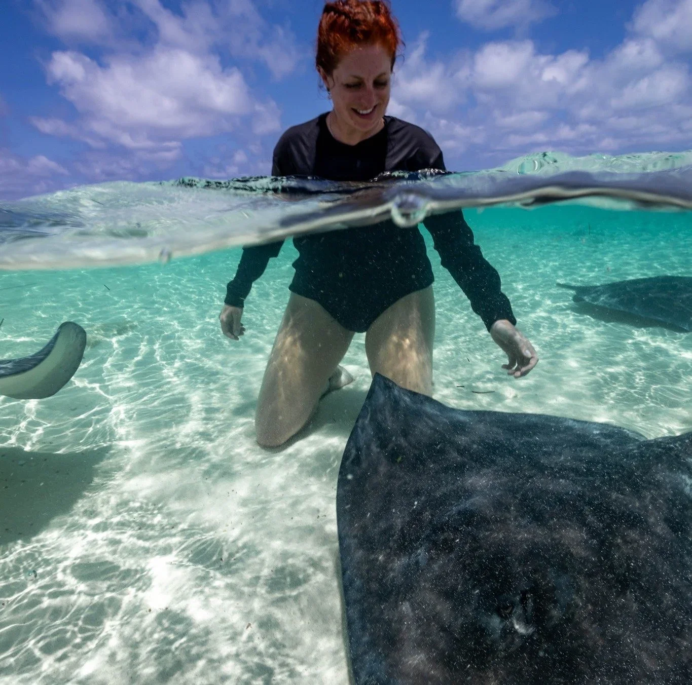 Shark Facts You Didn't Know -Sophie Maycock