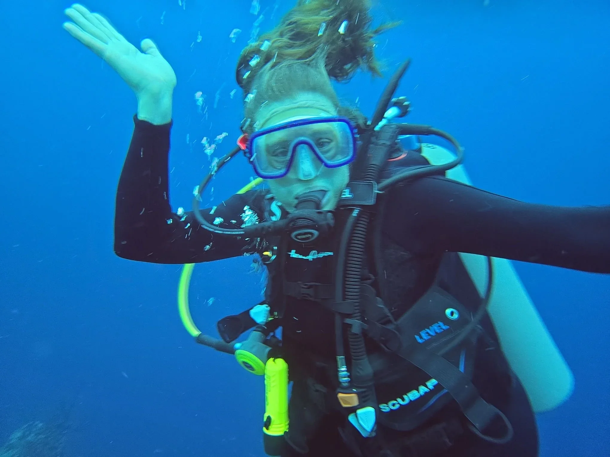 Sea Change, Story of Hope Designing Healthy Oceans - Amanda Leland 