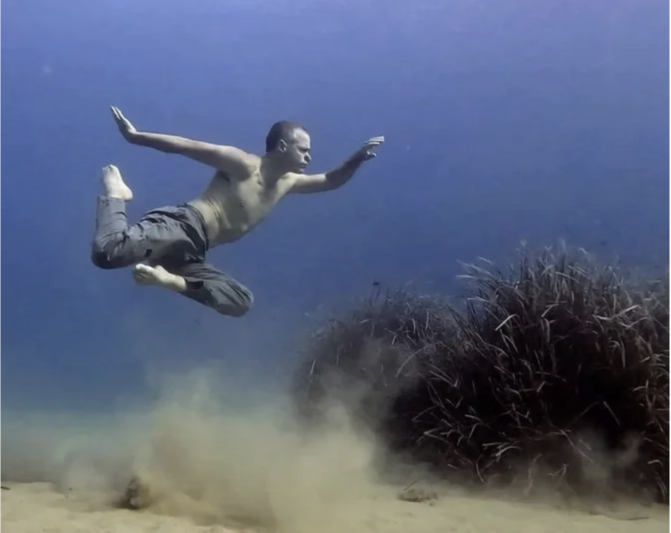 Underwater Dance &amp; Freediving — projectLIMB