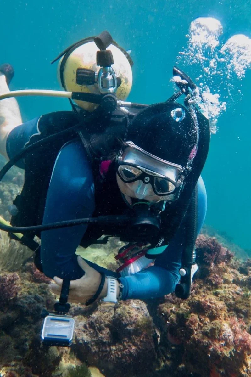 Citizen Coral in Panama — Krista Shoe