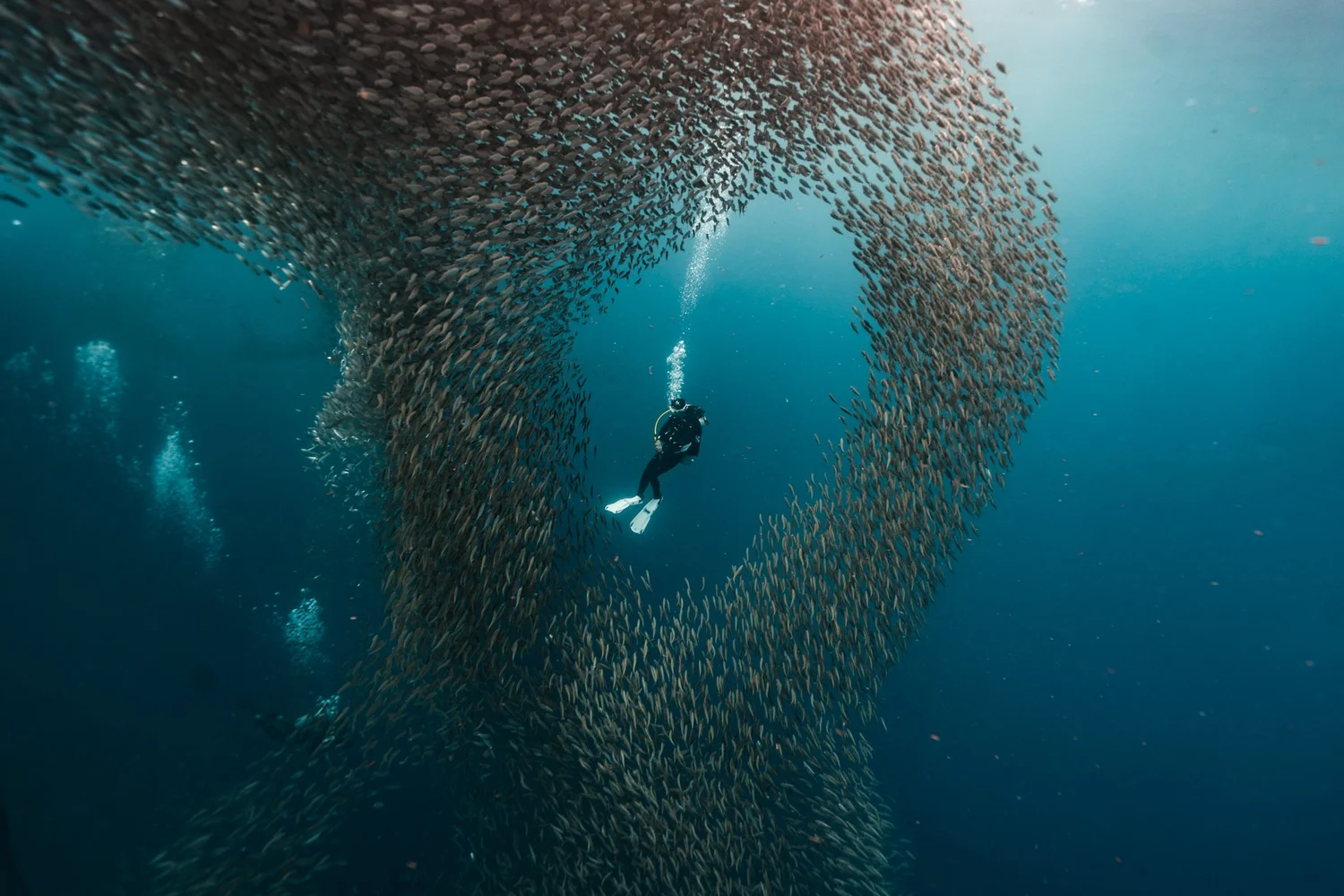 Bringing the Edges of Earth to Corporate Decision-makers          Andi Cross