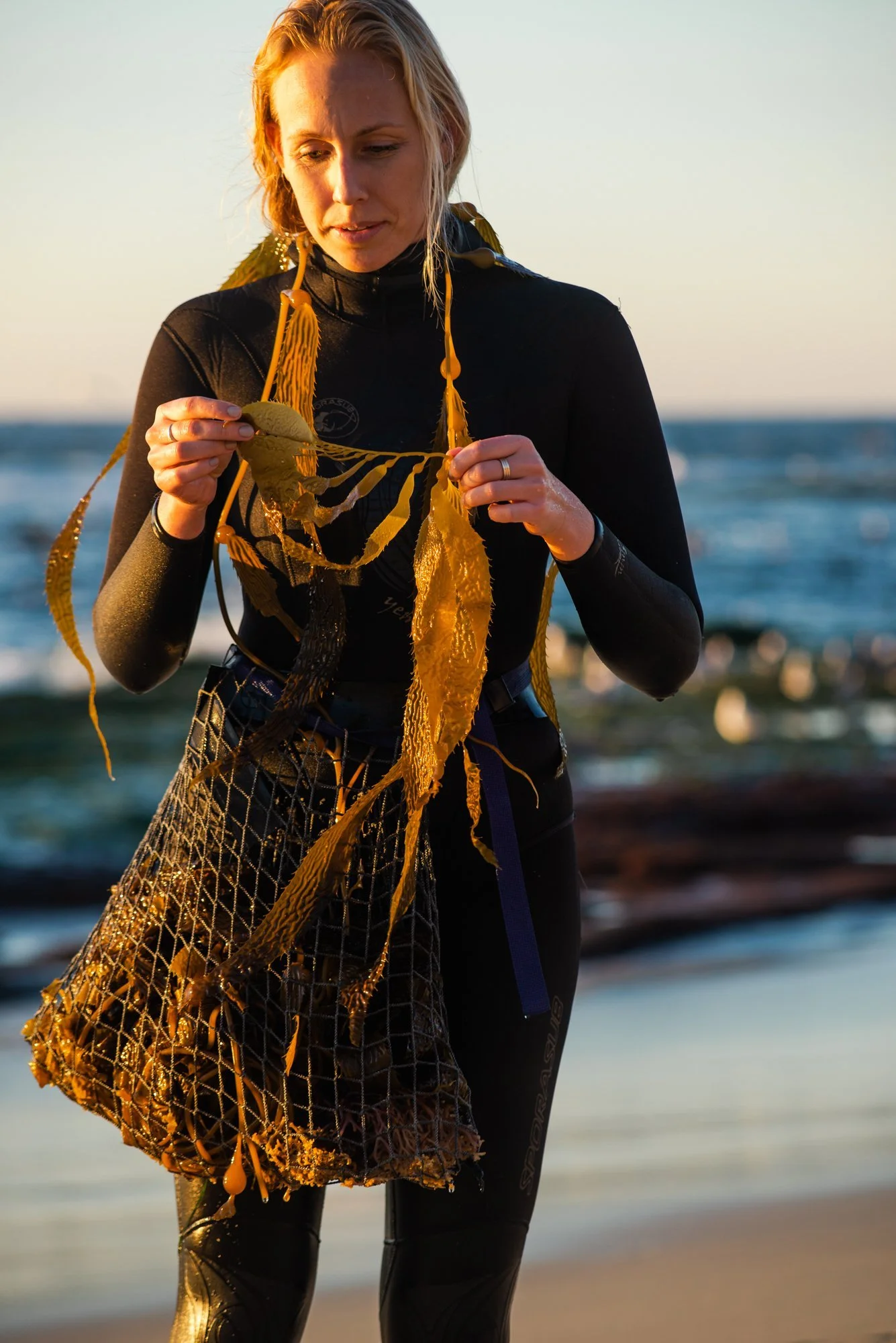 Seaweed Photograms &amp; Kelp Change — Oriana Poindexter
