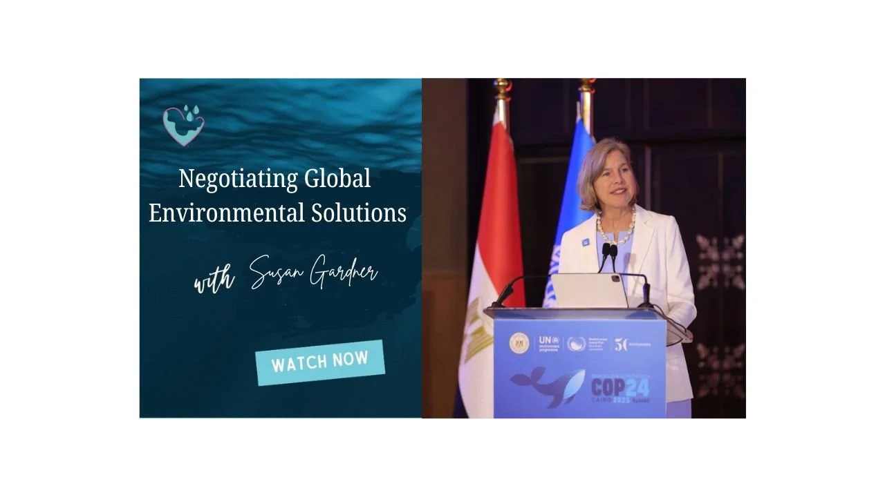 Negotiating Global Environmental Solutions - Susan Gardner episode artwork