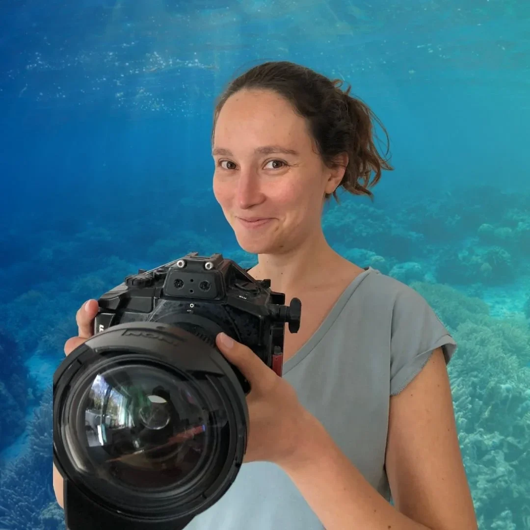 Ocean Snaps, Online Platform Teaches Underwater Photography - Romina Bayer