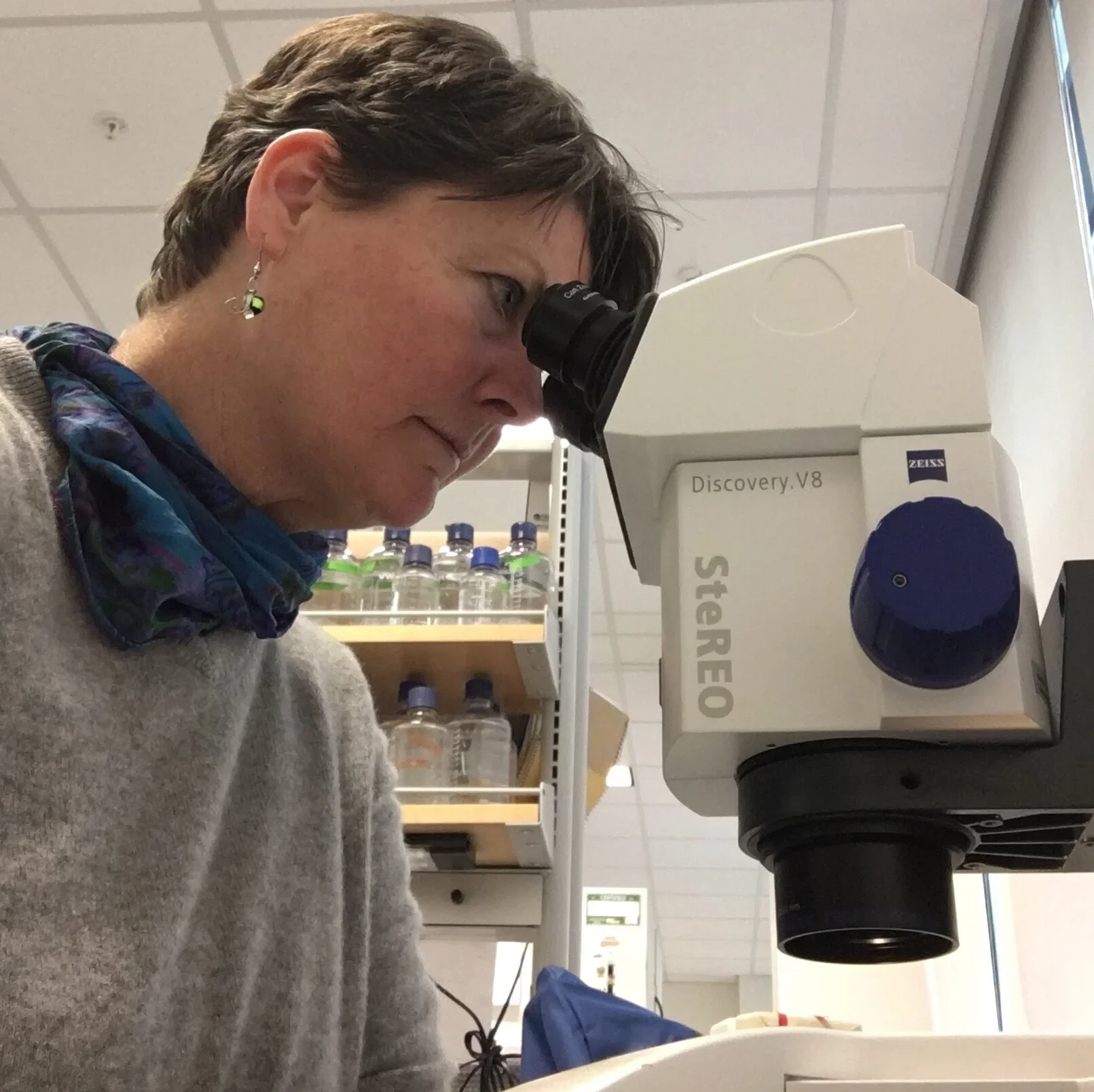 Phytoplankton Installation Merges Art and Science - Krisanne Baker