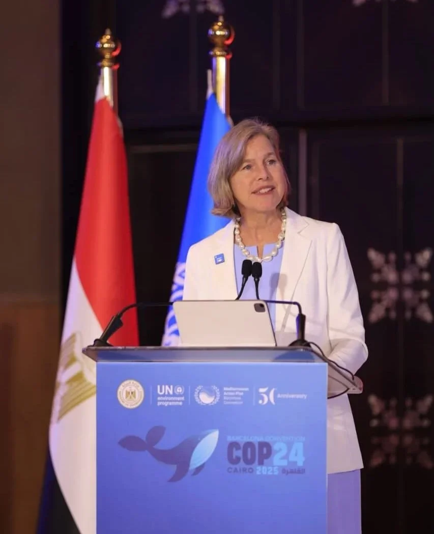 Negotiating Global Environmental Solutions - Susan Gardner