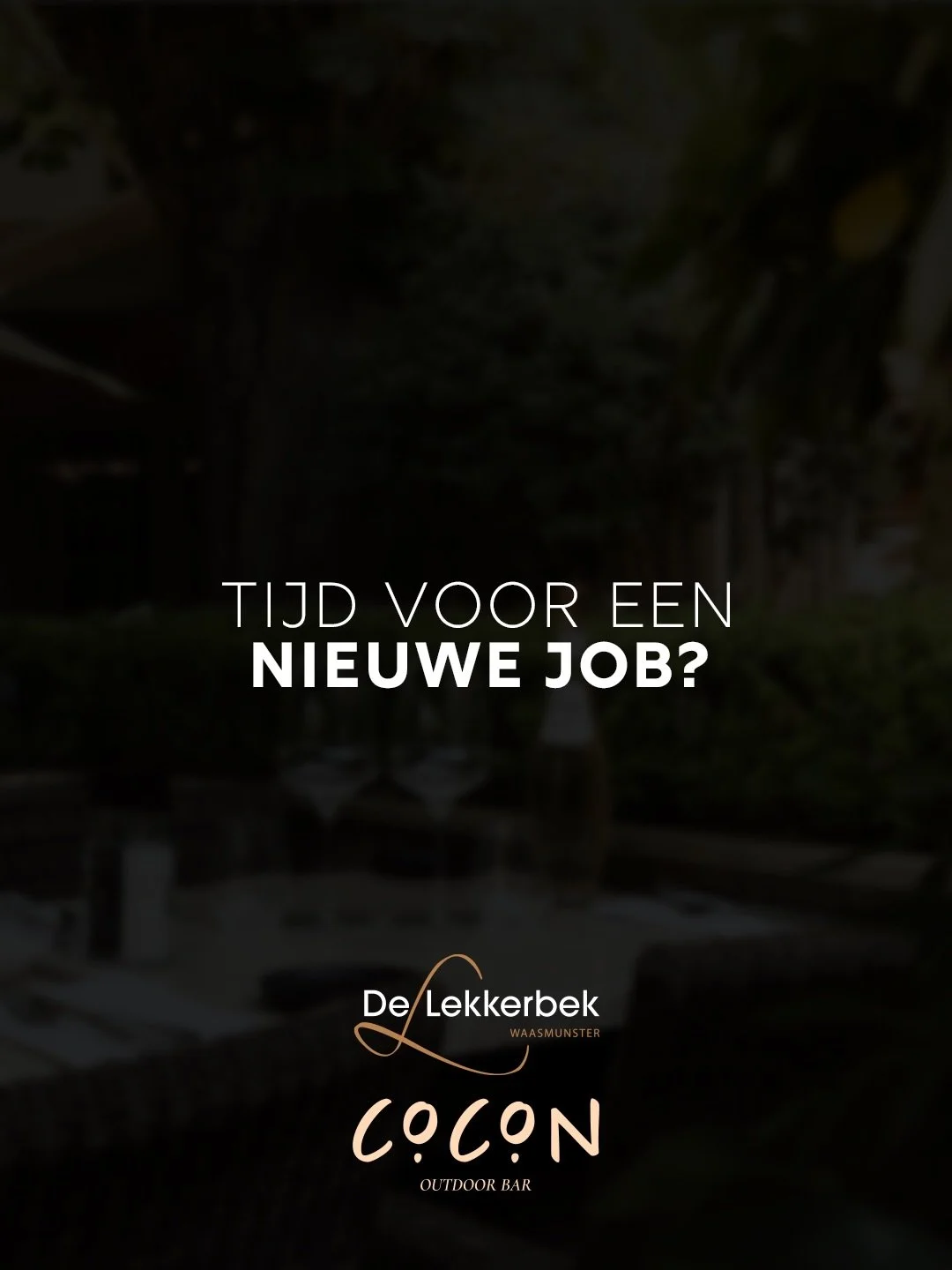 Zin om deel uit te maken van een bruisend horecateam? De Lekkerbek groeit en we zoeken jou!

Het terrasseizoen staat voor de deur en wij maken we ons klaar voor een fantastische zomer. Om ons team te versterken zijn wij op zoek naar enthousiaste keln
