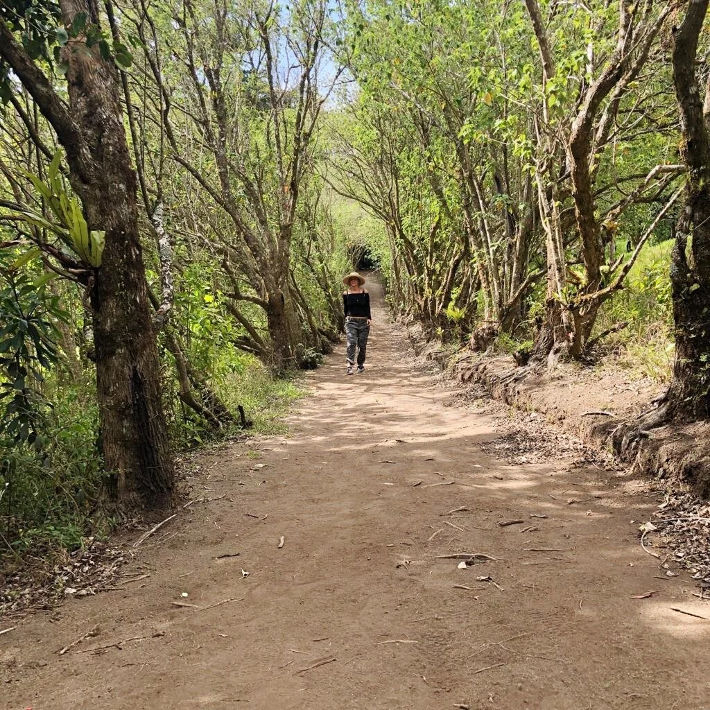 Monteverde