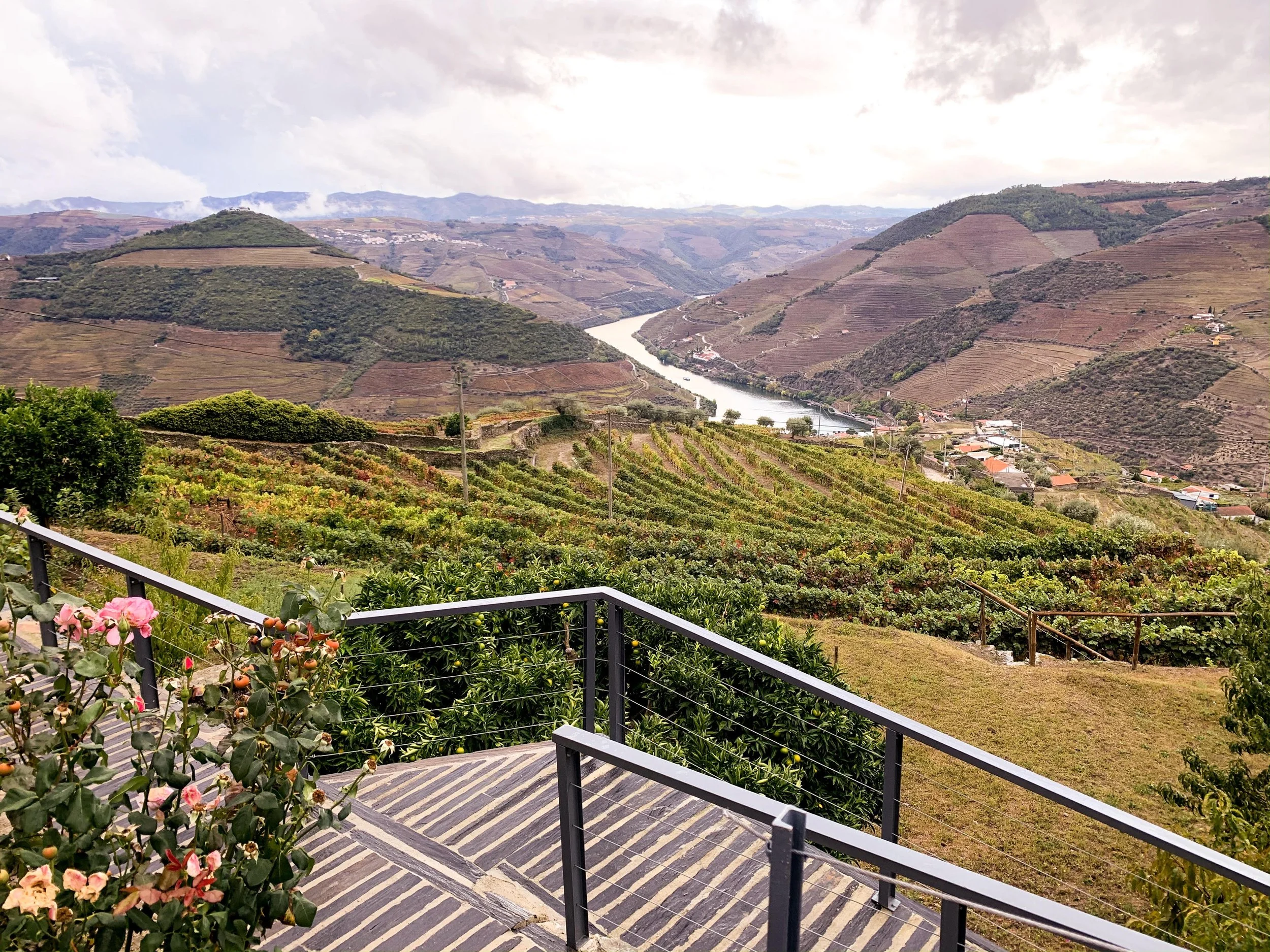 Douro valley wine region