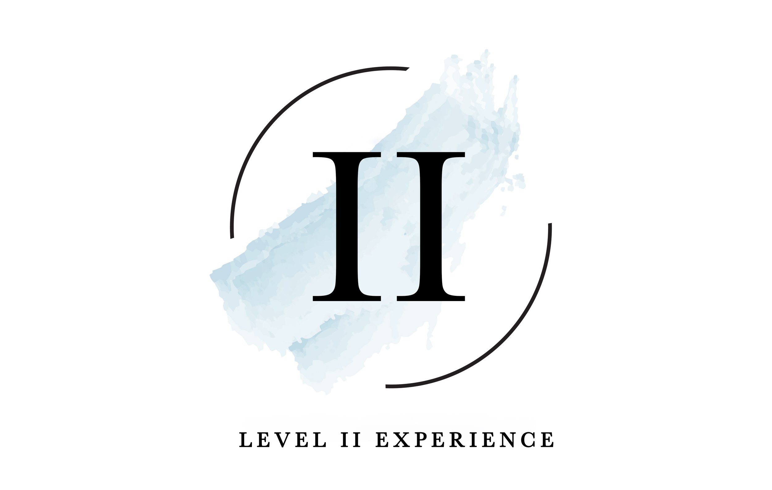 Level II Graphic (FINAL).jpg